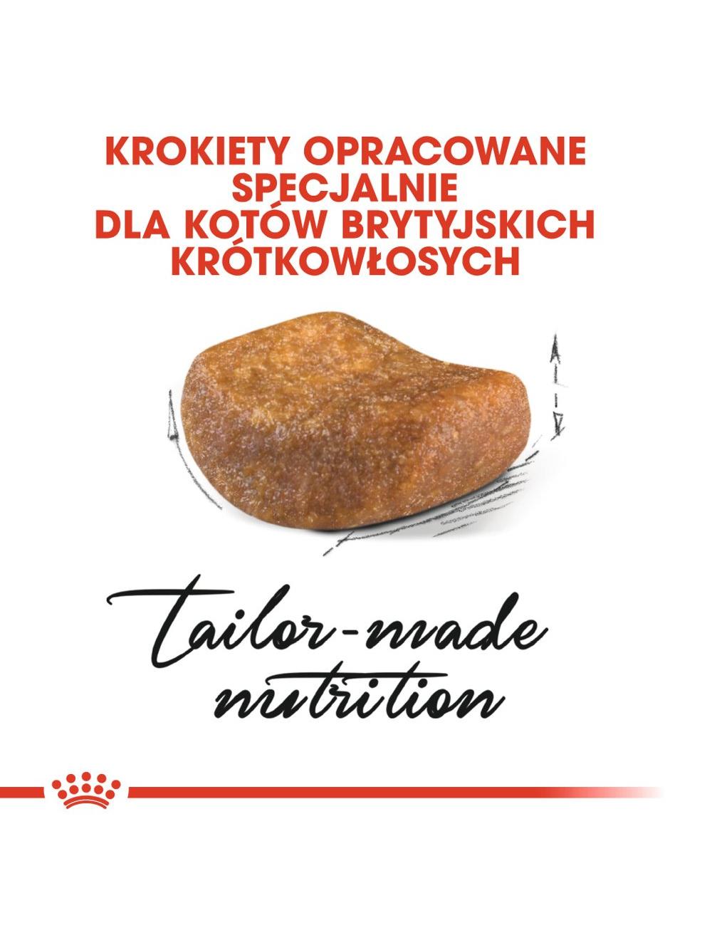 ROYAL CANIN British Shorthair 10kg karma sucha dla kotów dorosłych rasy brytyjski krótkowłosy + Piłka dla kota GRATIS!