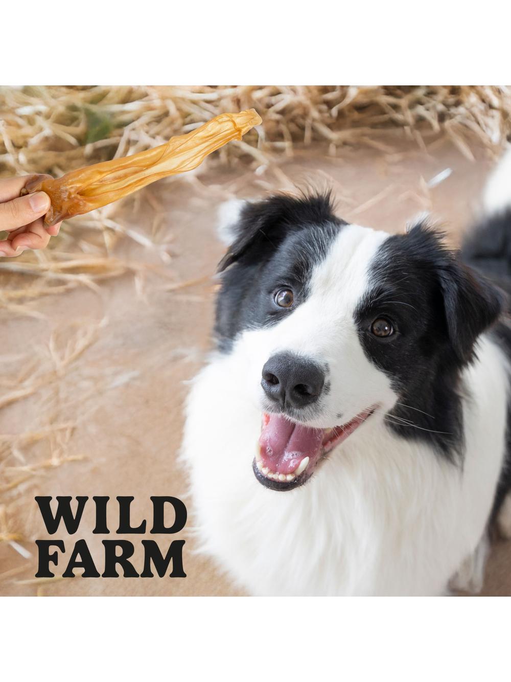 WILD FARM uszy jagnięce 300g przysmak dla psa