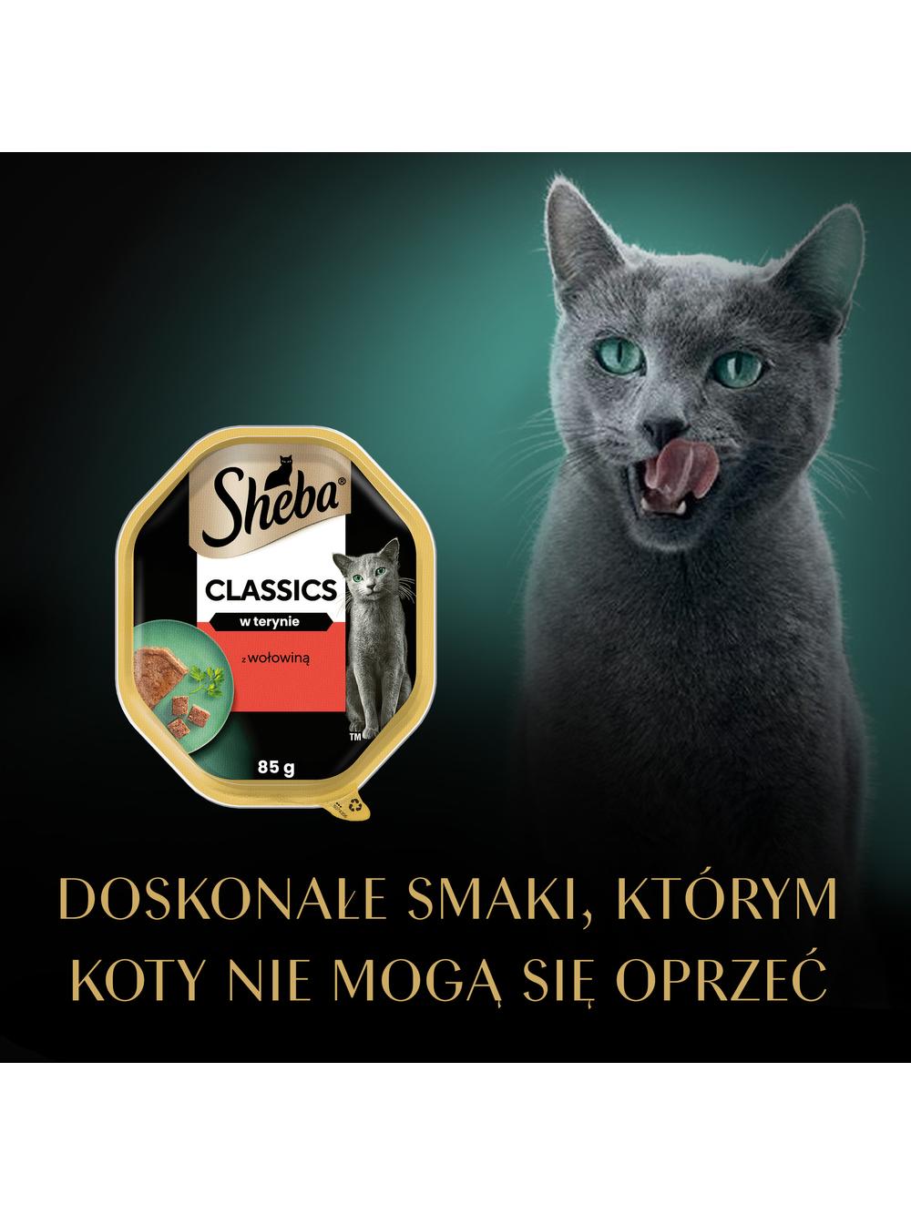 SHEBA Classics tacka 22x85 g – mokra karma pełnoporcjowa dla dorosłych kotów, z wołowiną, w terynie