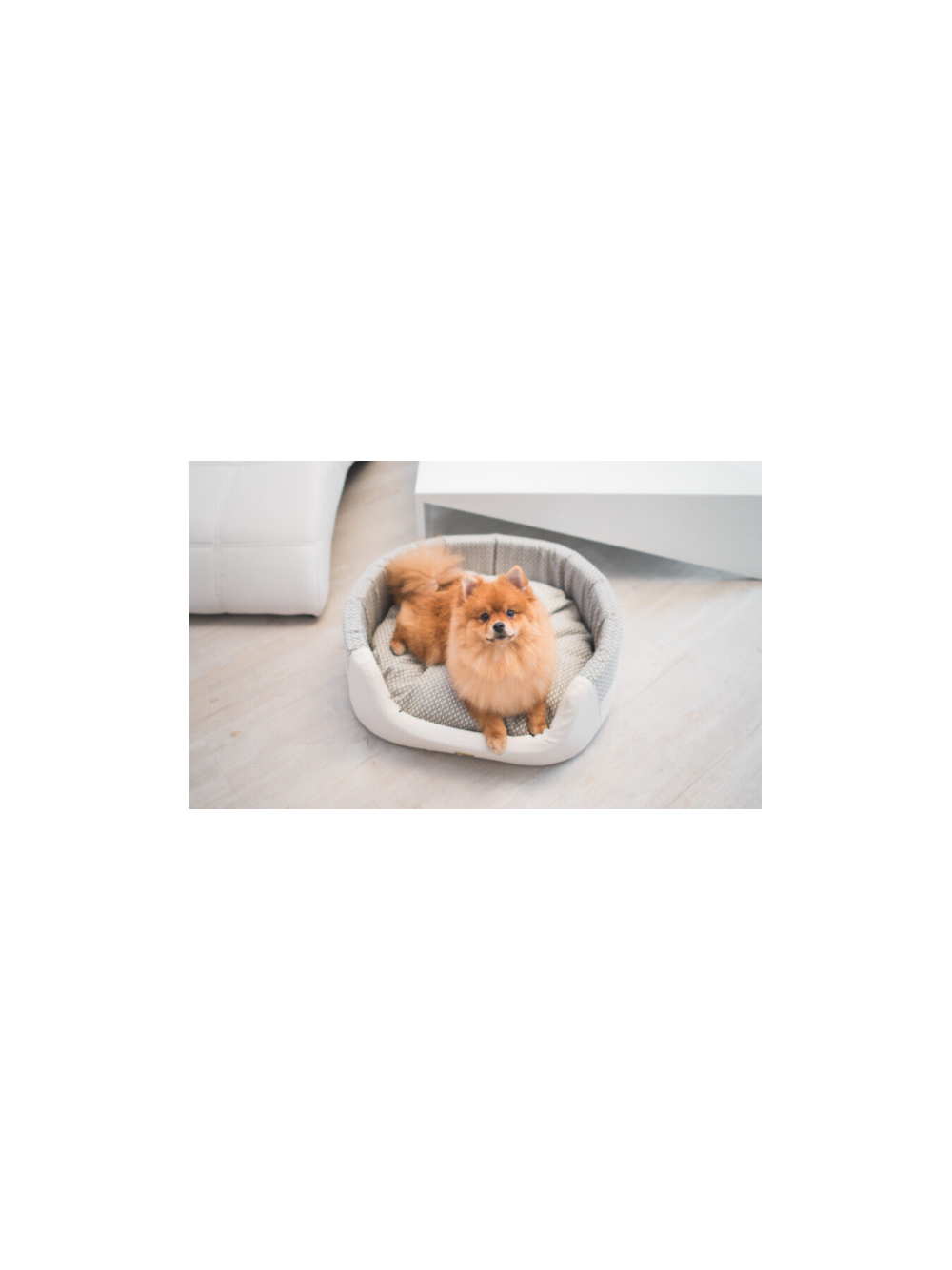 AMIPLAY- Legowisko Elipsa Morgan białe- L