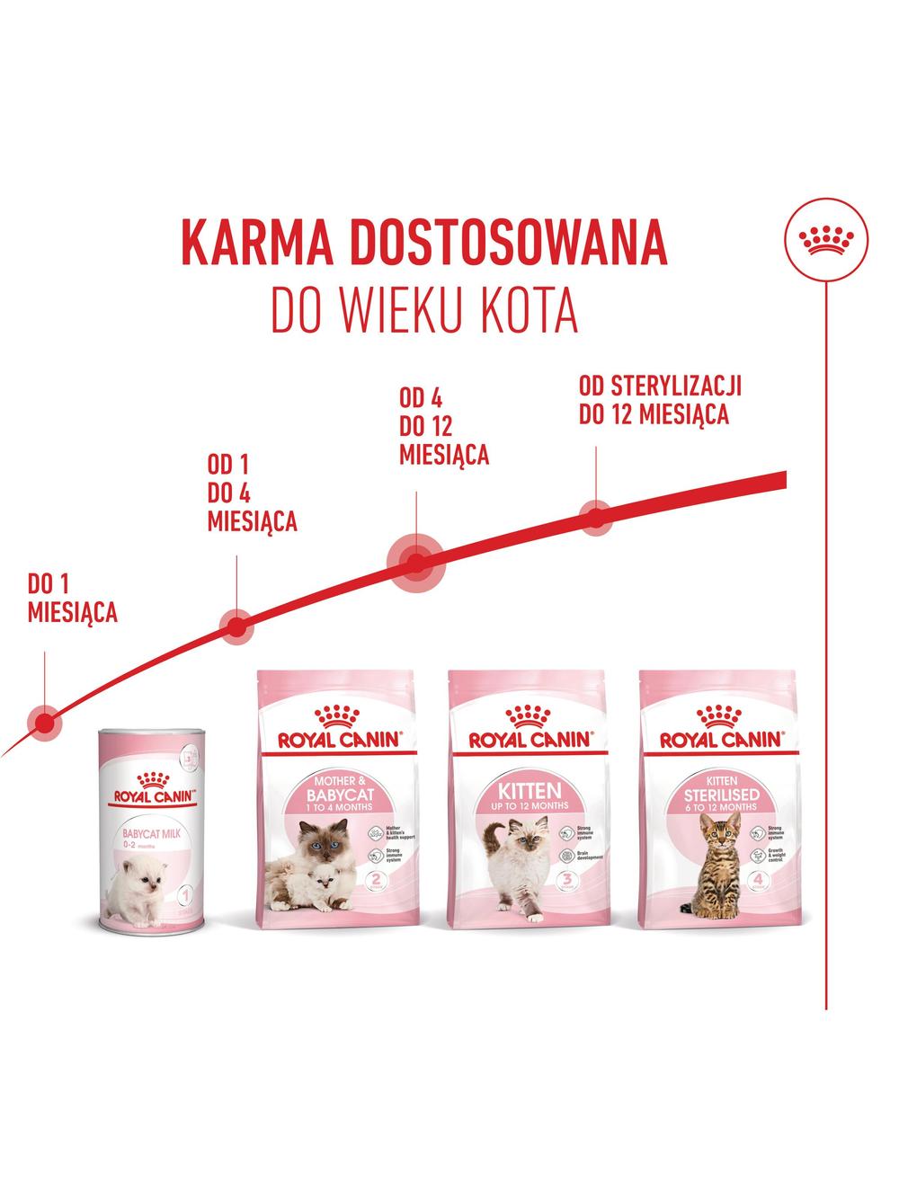ROYAL CANIN  Kitten 2kg karma sucha dla kociąt od 4 do 12 miesiąca życia