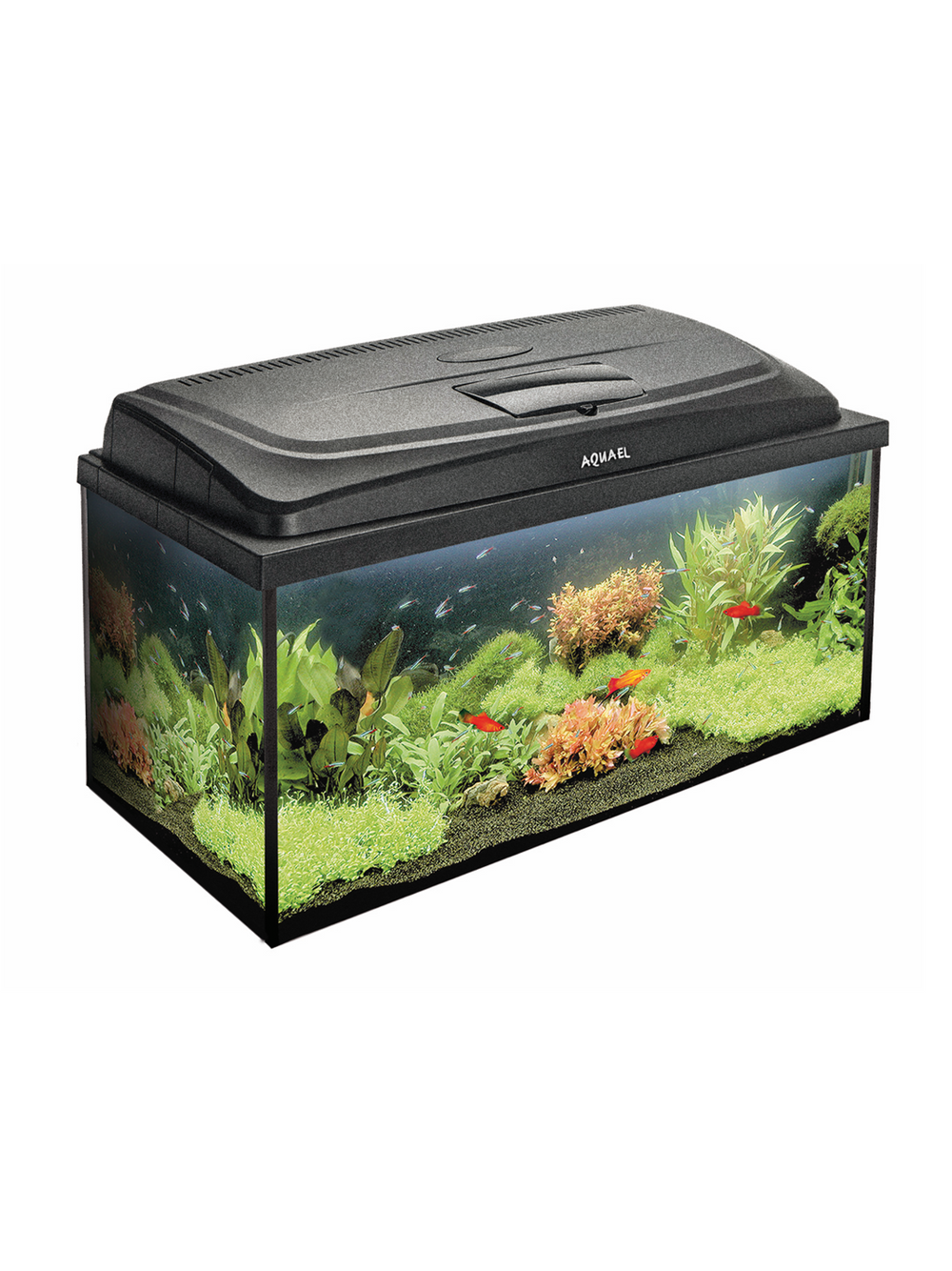 AQUAEL Zestaw Akwarystyczny AQUA4FAMILY 80/P D&N