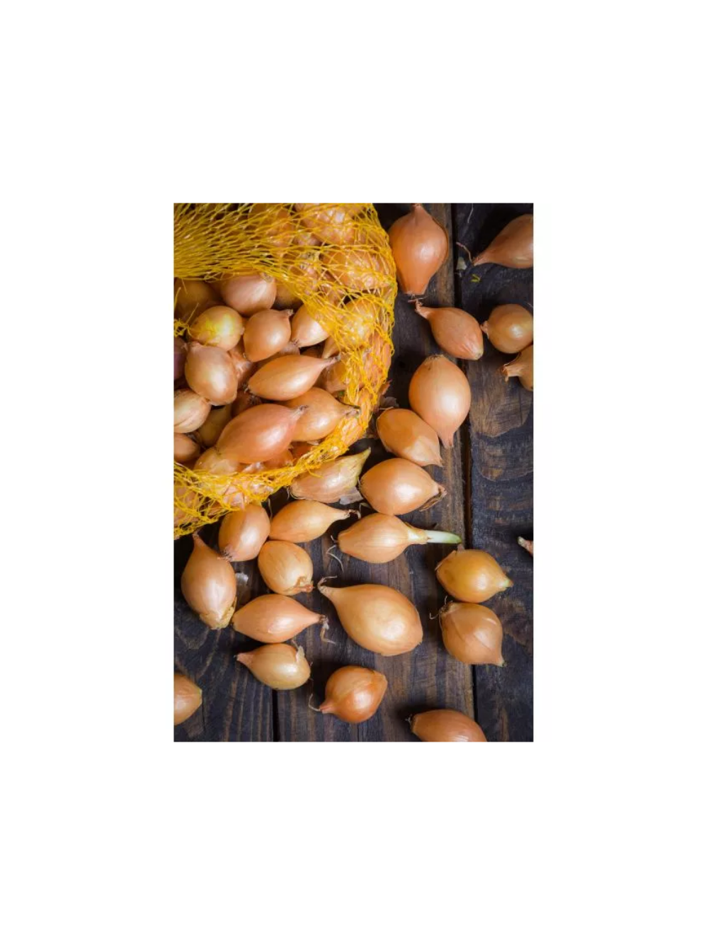 Cebula dymka Sturon - 500g