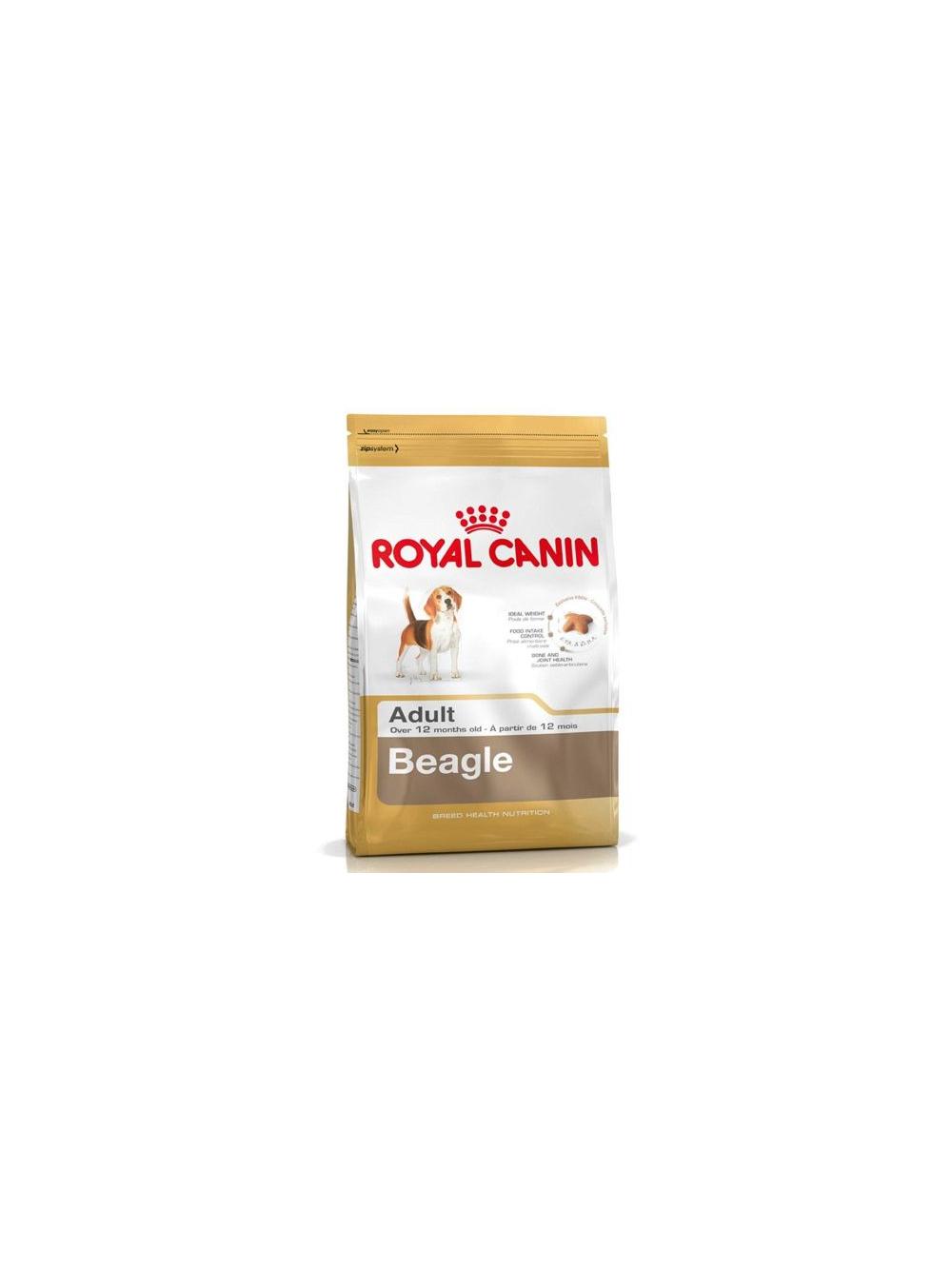 ROYAL CANIN Beagle Adult 12kg karma sucha dla psów dorosłych rasy beagle + niespodzianka dla psa GRATIS!