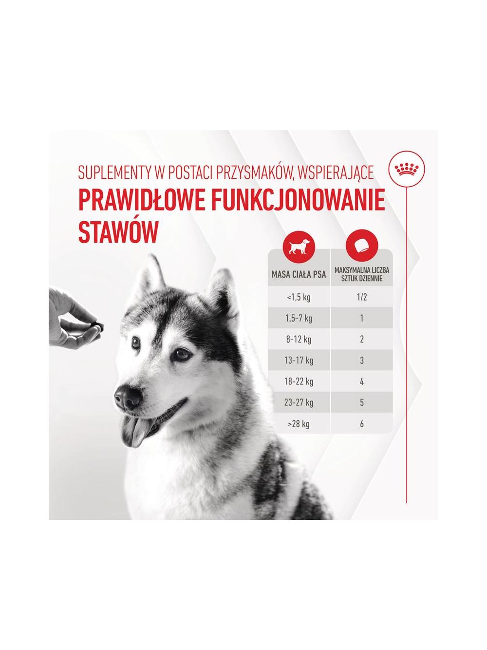 Royal Canin Joint & Ageing Adult Chews 240g