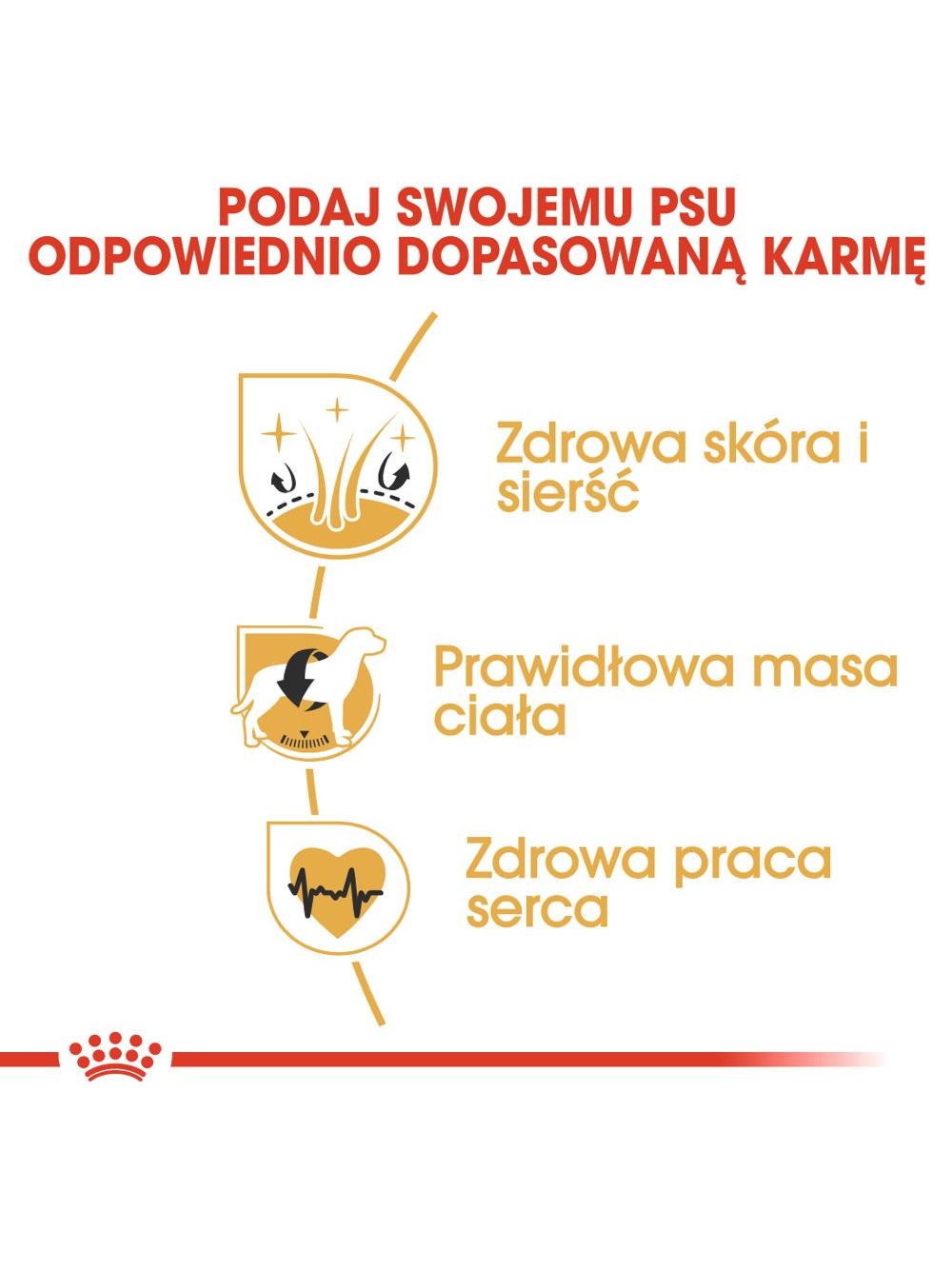 ROYAL CANIN Cocker Spaniel Adult 11,4kg karma sucha dla psów dorosłych rasy cocker spaniel/ opakoanie uszkodzone (7683)