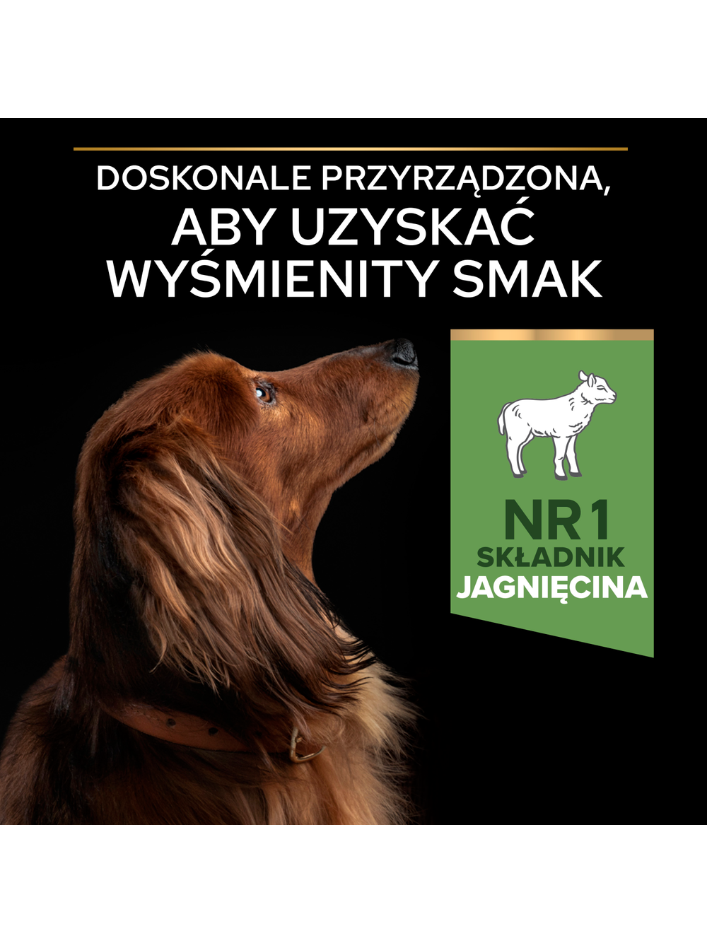 PRO PLAN Sensitive Digestion Small & Mini Karma dla psów bogata w jagnięcinę 7kg+ + niespodzianka dla psa GRATIS!