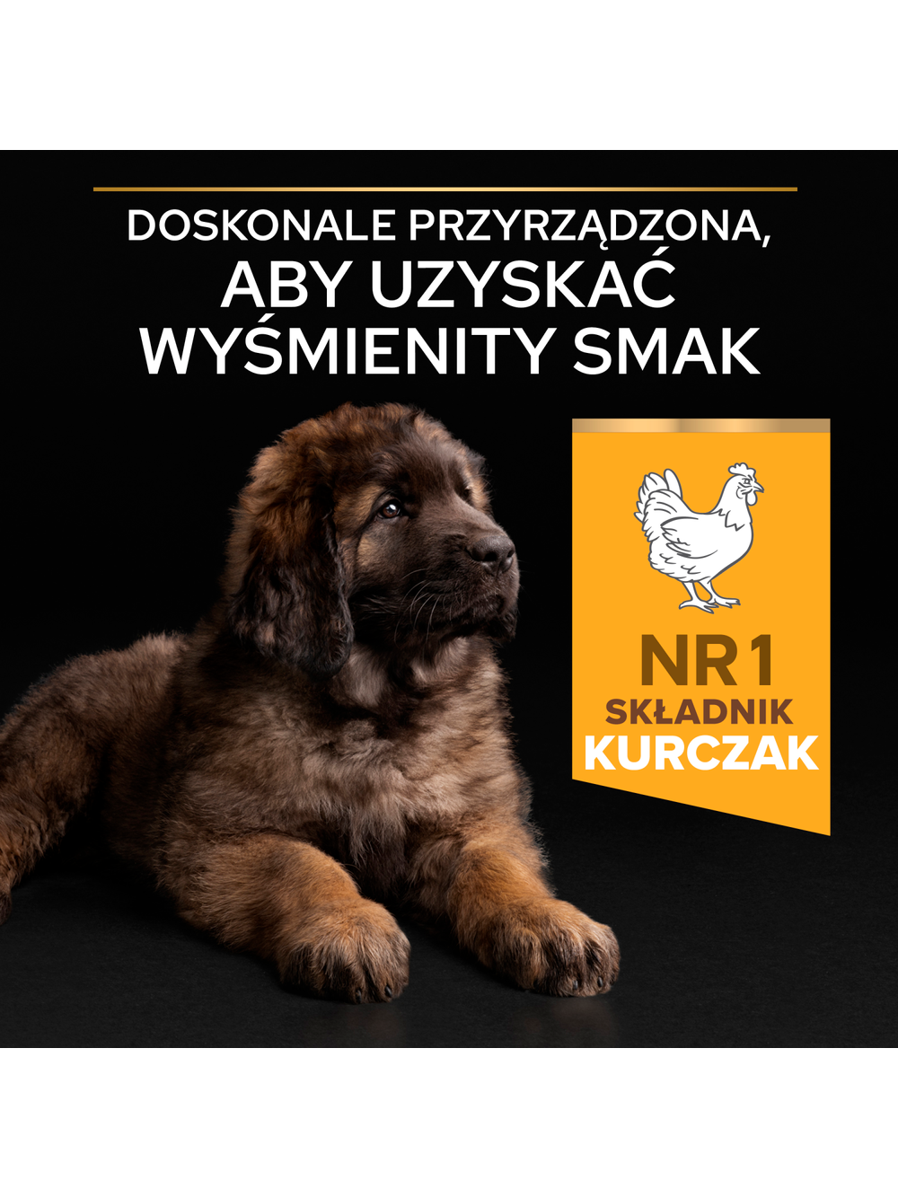PRO PLAN Healthy Start Large Robust Puppy Karma dla szczeniąt bogata w kurczaka 12kg