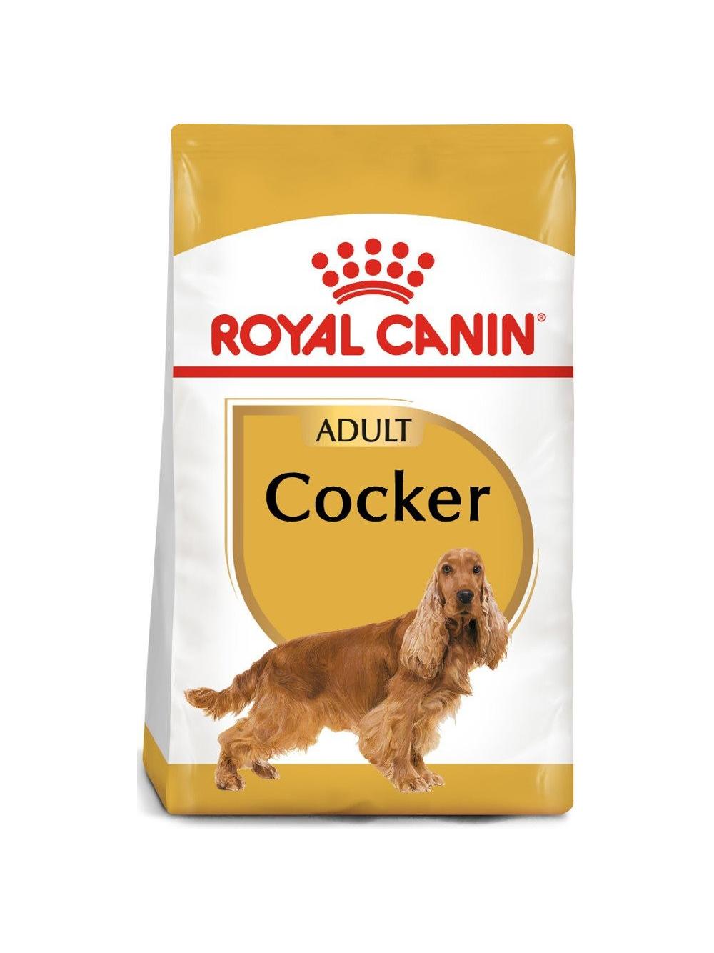 ROYAL CANIN Cocker Spaniel Adult 12kg karma sucha dla psów dorosłych rasy cocker spaniel + niespodzianka dla psa GRATIS!