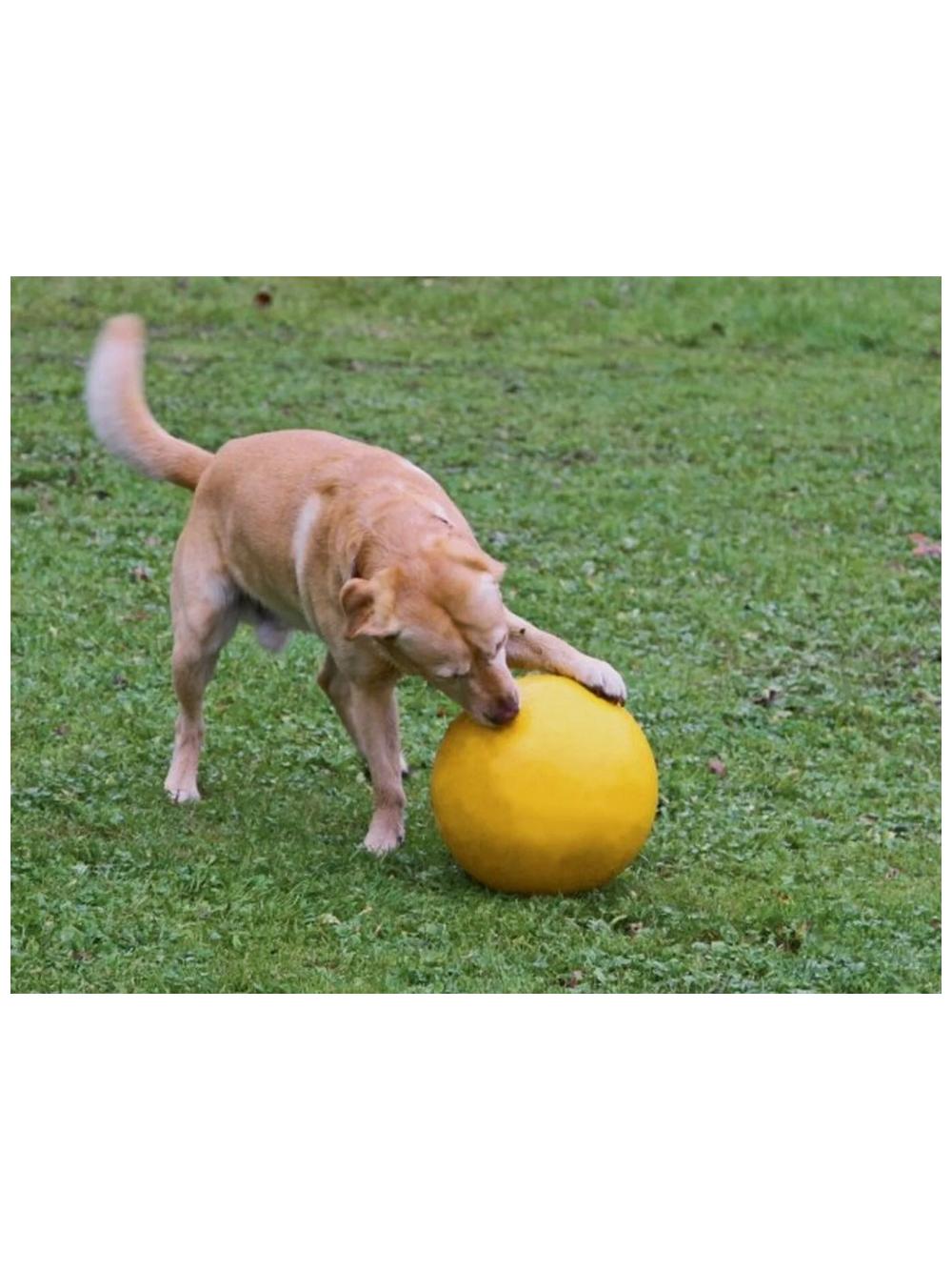 KERBL Piłka do zabawy dla psów odporna na ugryzienia Agility XXL 30cm