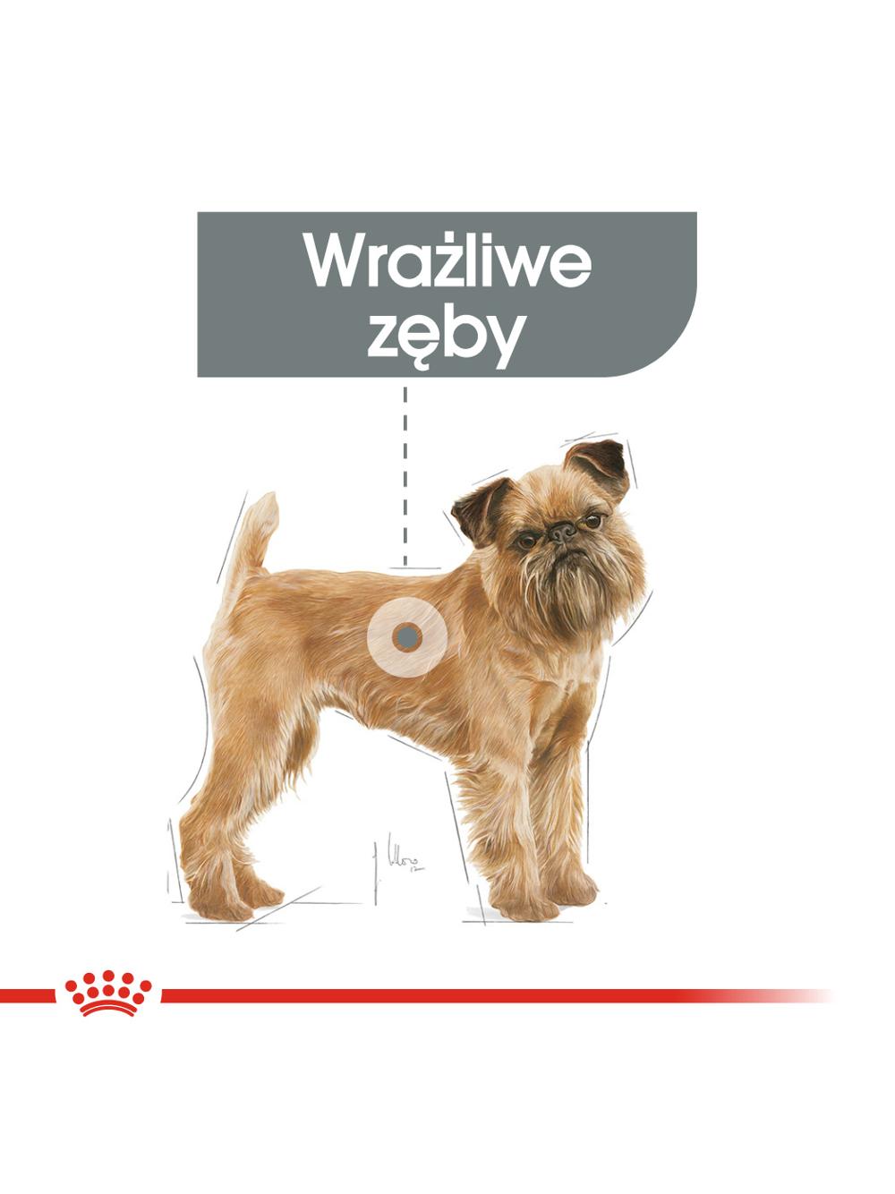 ROYAL CANIN CCN Mini Dental Care 3kg karma sucha dla psów dorosłych, ras małych, redukująca powstawanie kamienia nazębnego