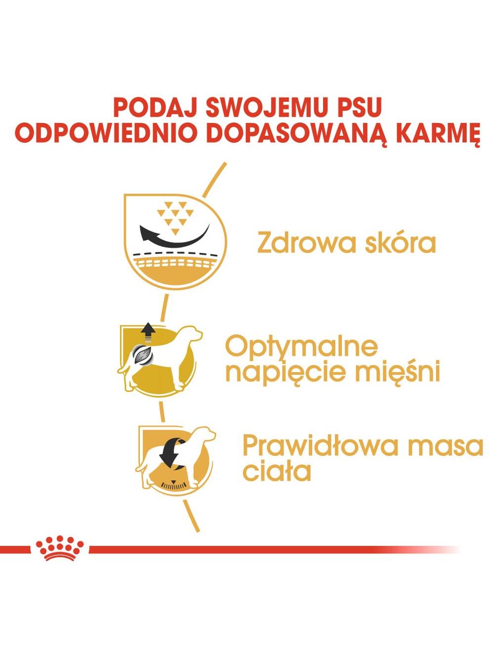 ROYAL CANIN Pug Adult 1,5kg karma sucha dla psów dorosłych rasy mops