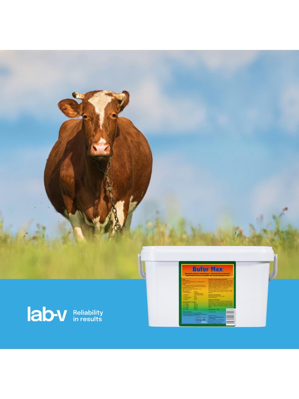 Lab-v Bufor Max - Mieszanka Paszowa Uzupełniająca Dietetyczna Dla Przeżuwaczy Zagrożonych Kwasicą 1,2kg