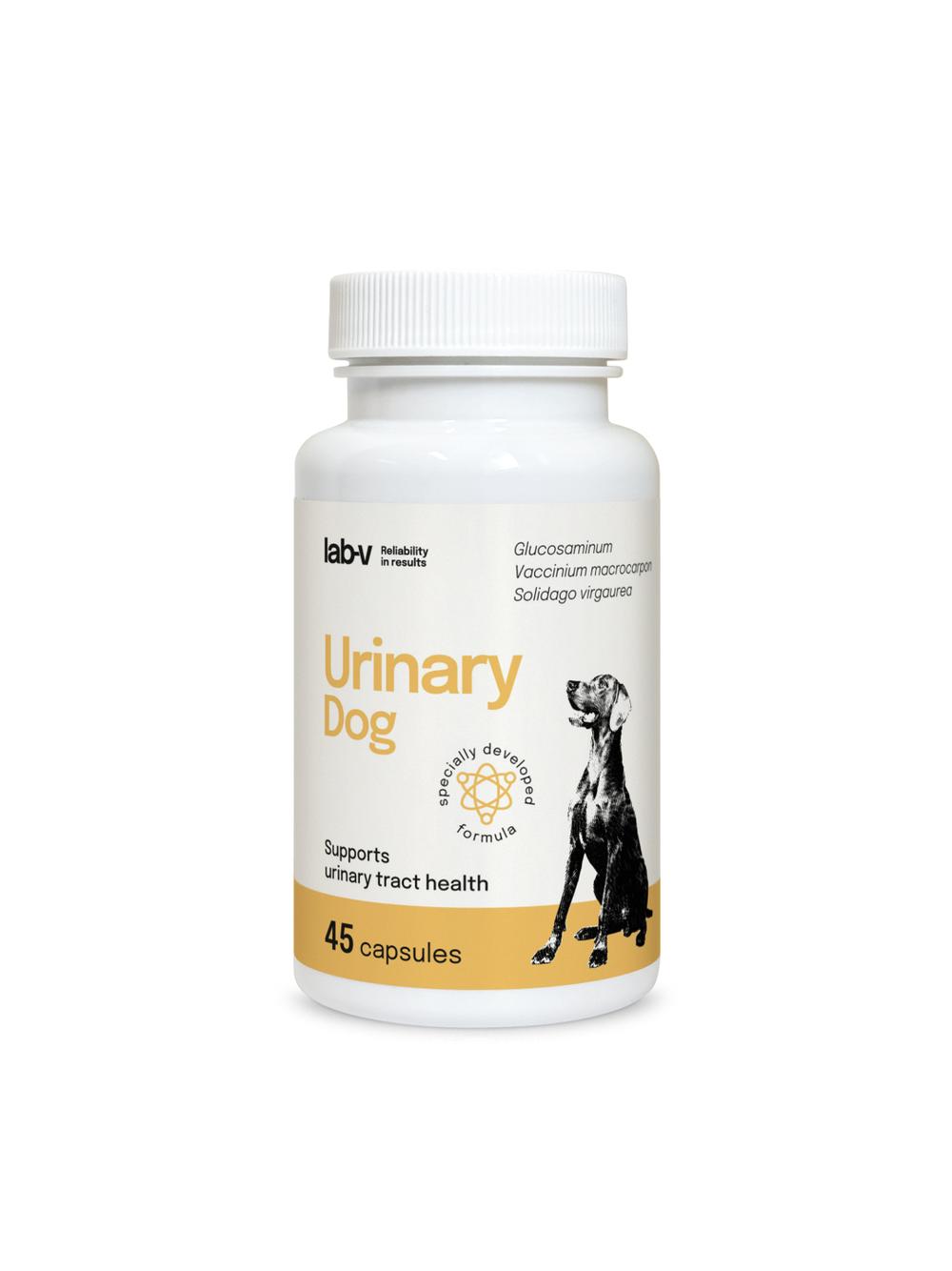 Lab-v Urinary Dog – Wsparcie przy zakażeniu dróg moczowych u psów 45 kapsułek