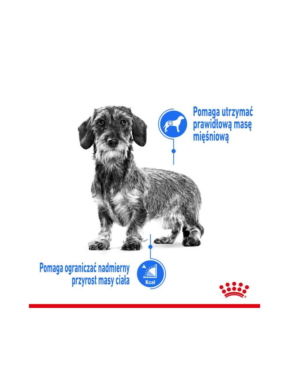 ROYAL CANIN CCN Mini Light Weight Care 3kg karma sucha dla psów dorosłych, ras małych z tendencją do nadwagi
