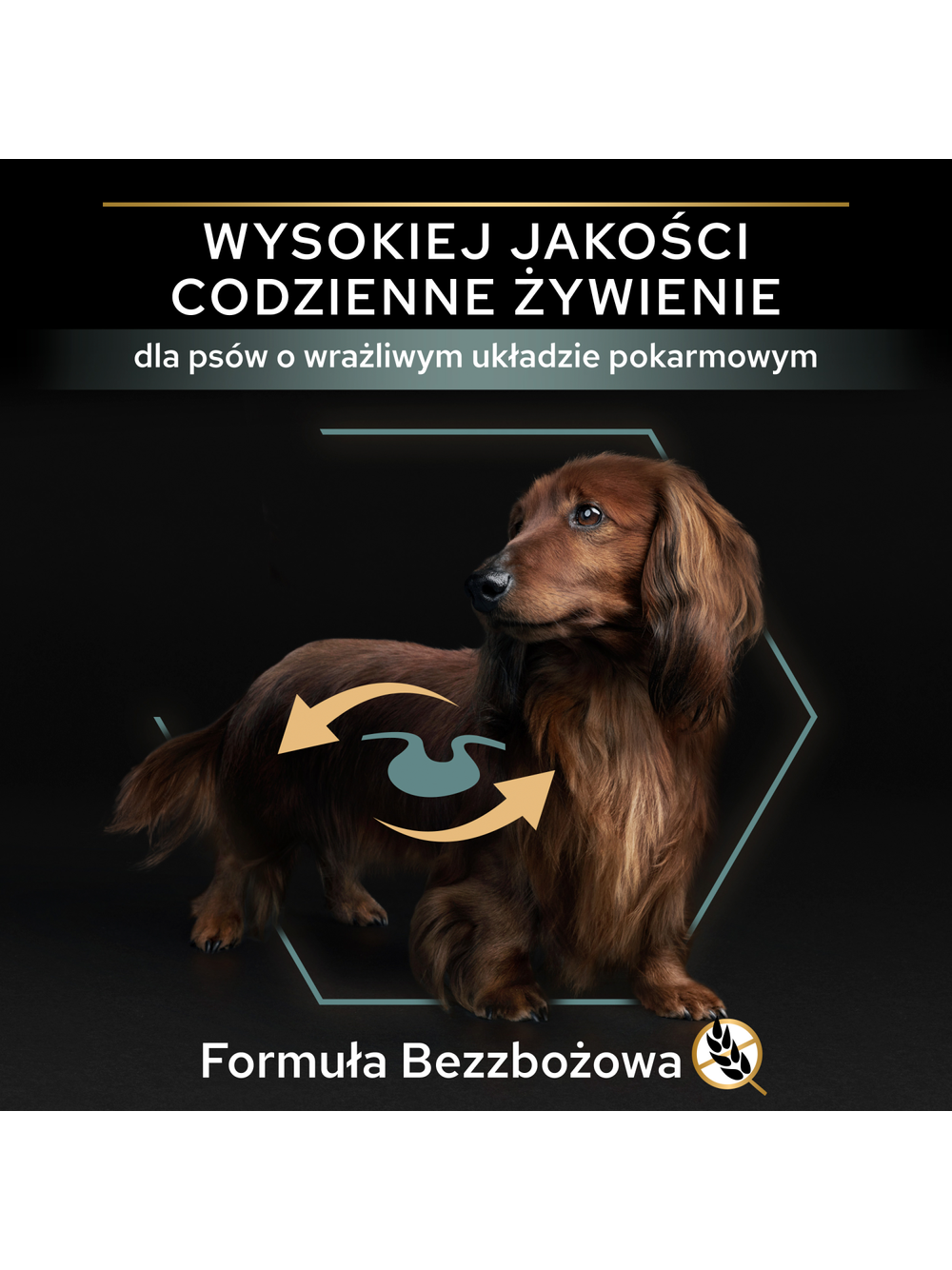 PRO PLAN Sensitive Digestion Small & Mini Adult Karma dla psów bogata w indyka 2,5kg