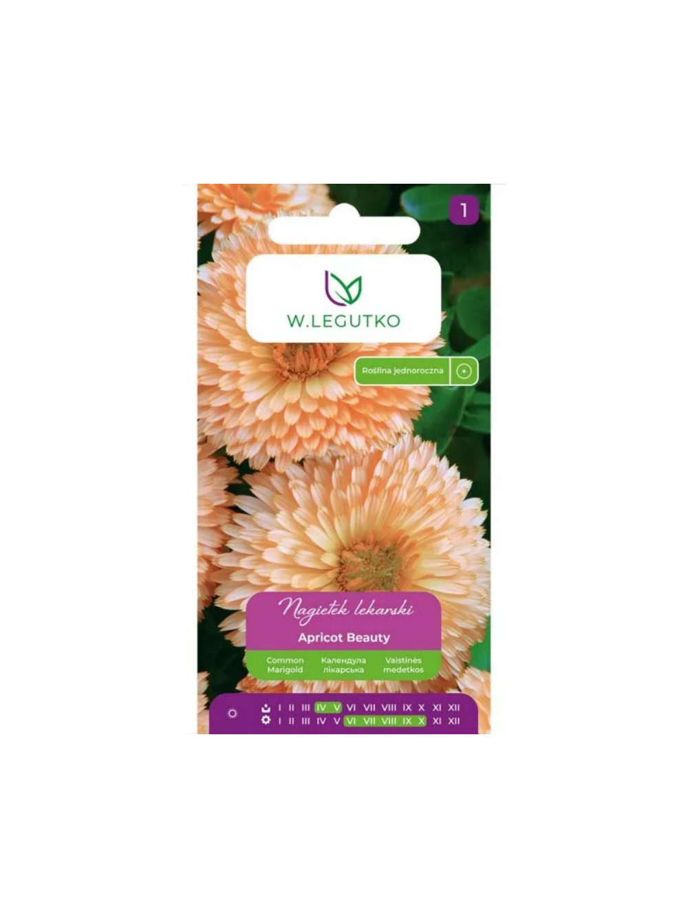 Nagietek lekarski Apricot Beauty morelowy