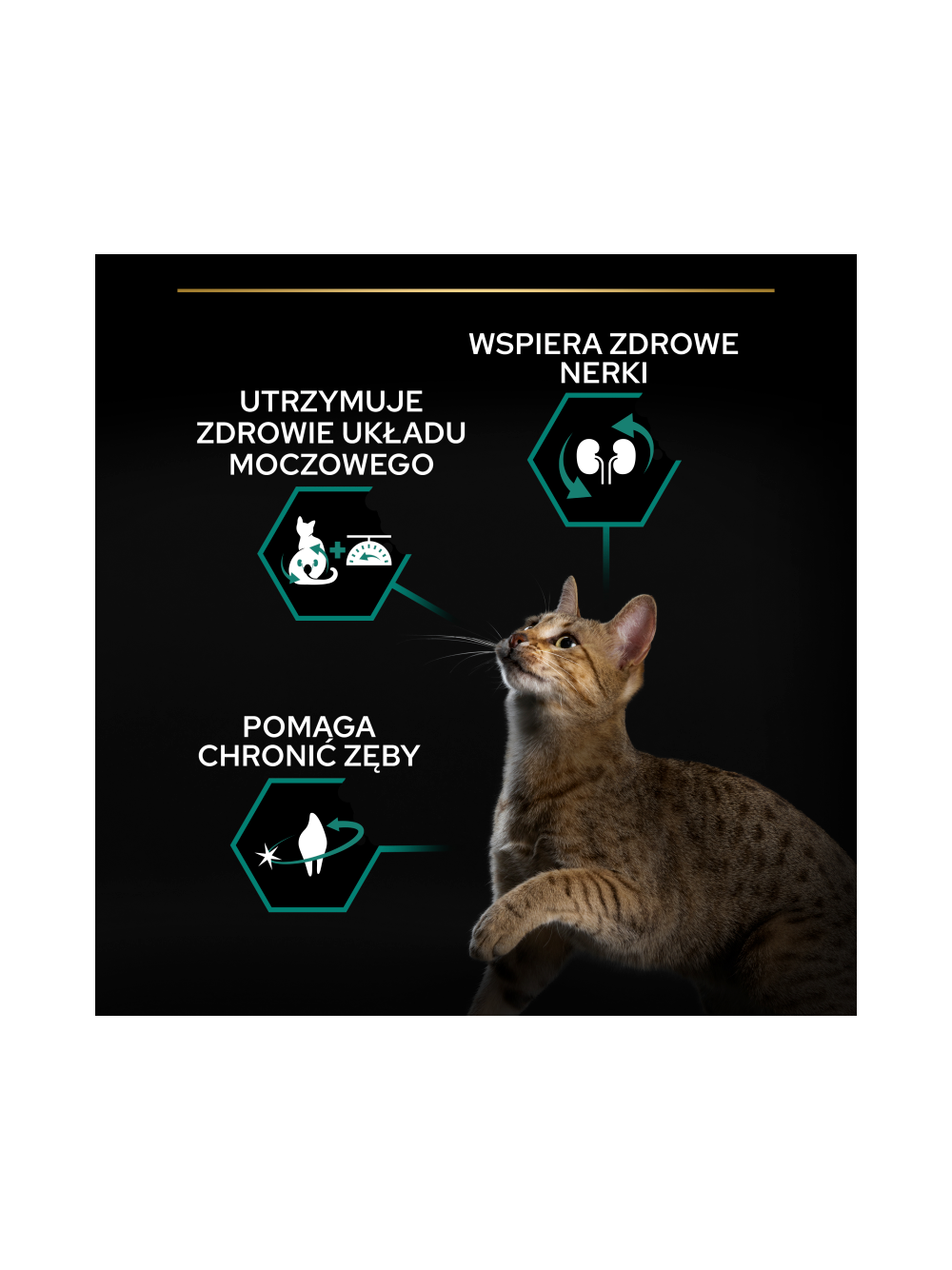 PRO PLAN Sterilised Renal Karma dla kotów bogata w indyka 1,5 kg