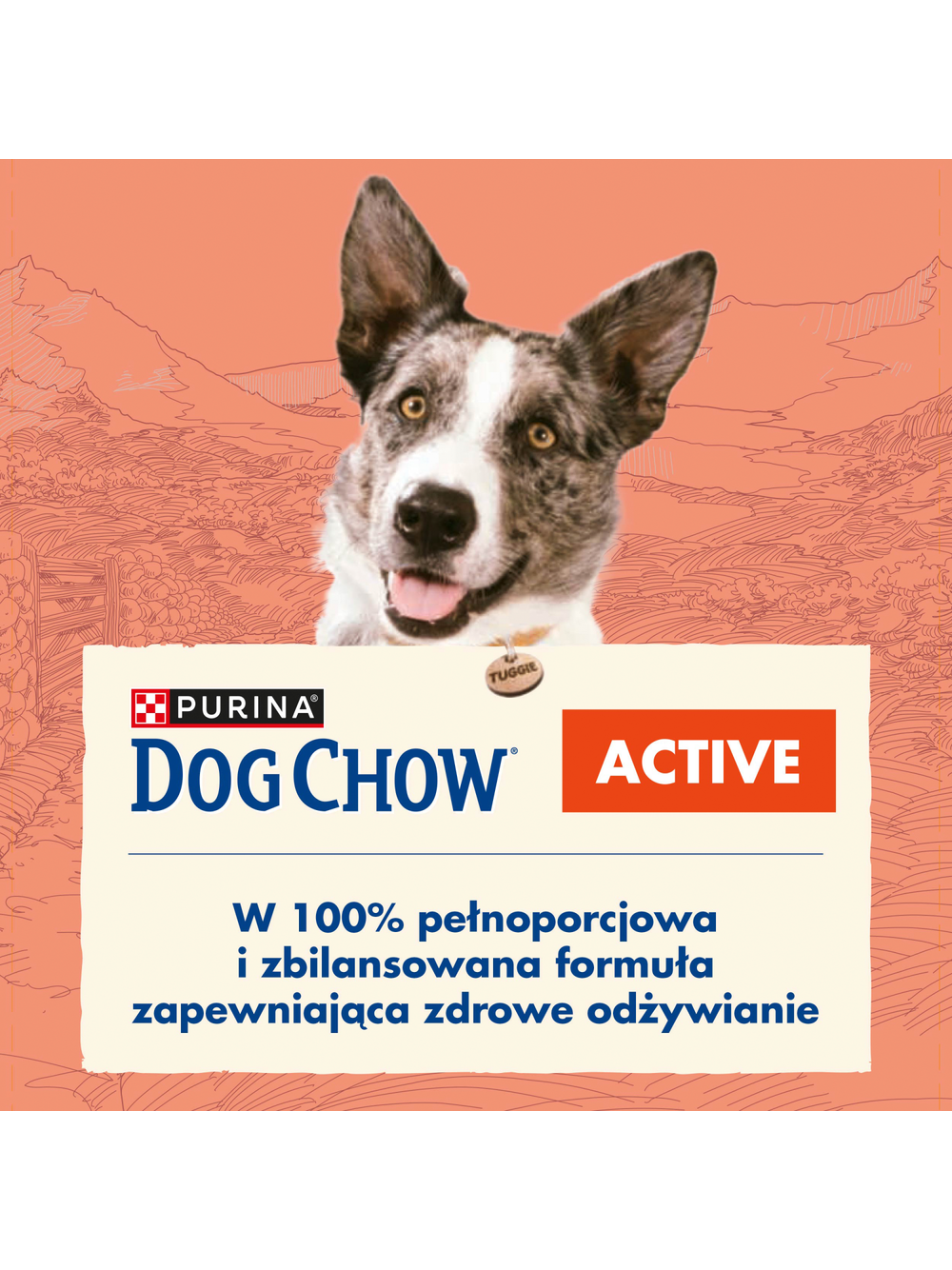 PURINA Dog Chow Adult Active Chicken 14kg