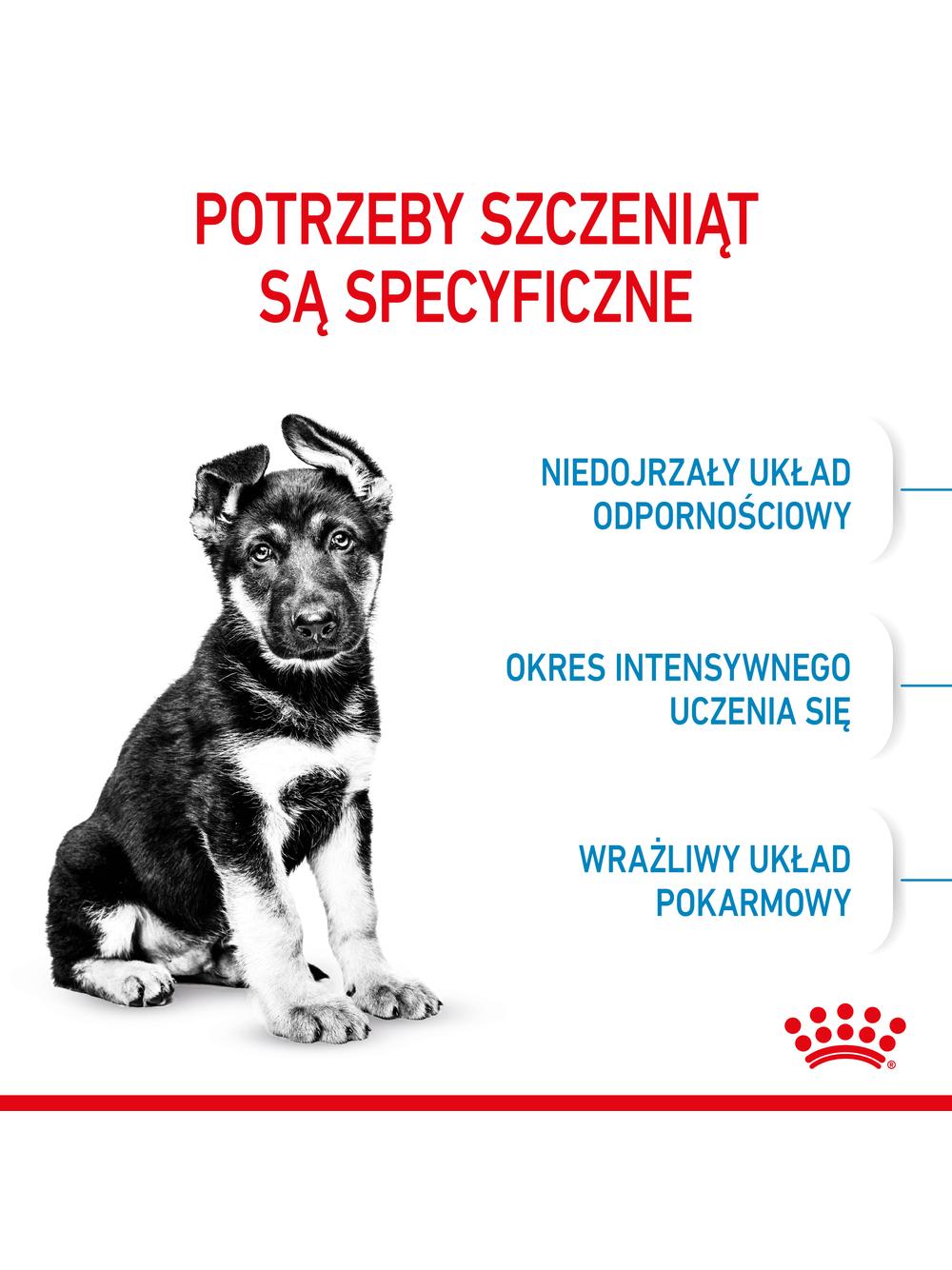 ROYAL CANIN Maxi Puppy 15kg karma sucha dla szczeniąt, od 2 do 15 miesiąca życia, ras dużych