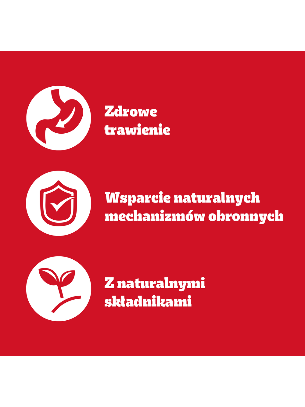 PEDIGREE Adult mokra karma pełnoporcjowa dla dorosłych psów, z wołowiną w galaretce 6x1200g