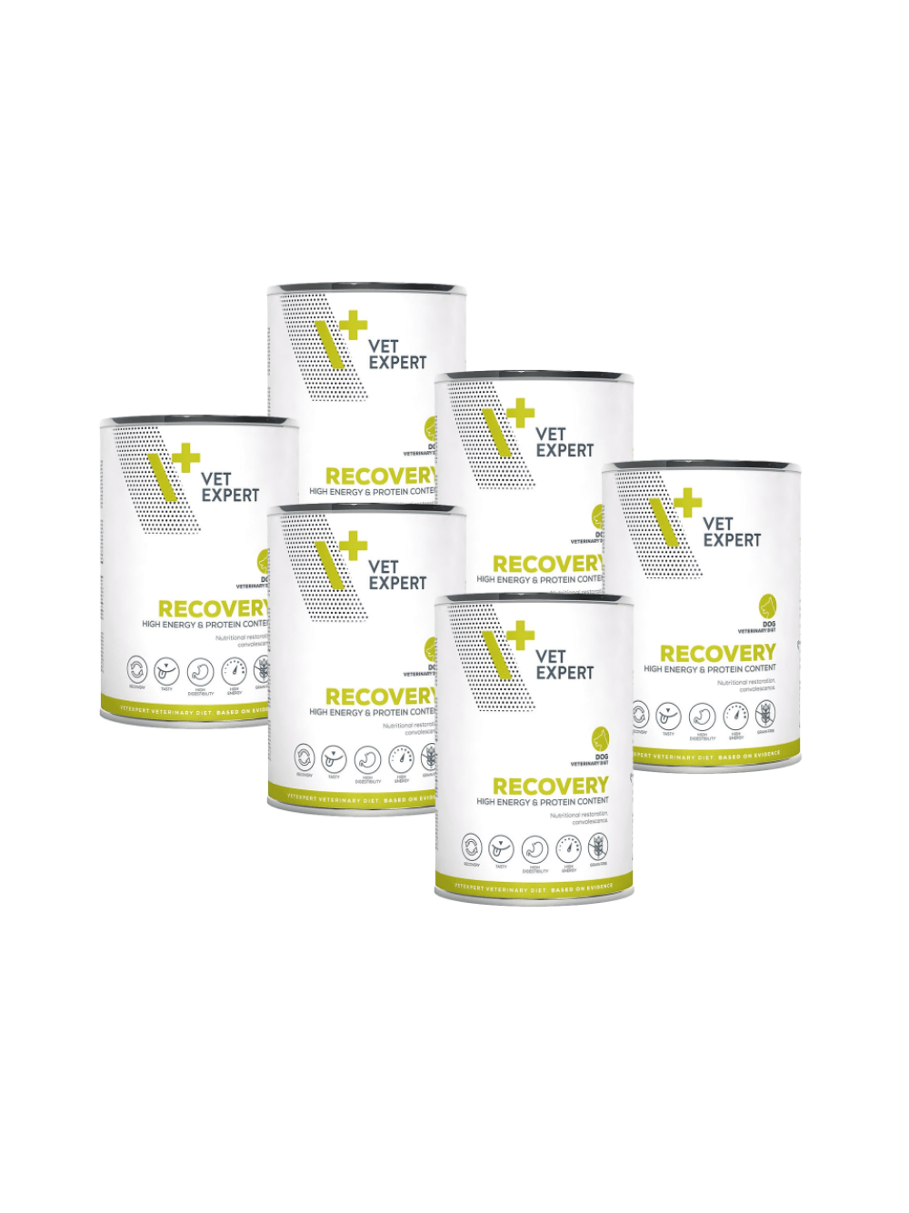 VETEXPERT Dog Diet Recovery 6x400g