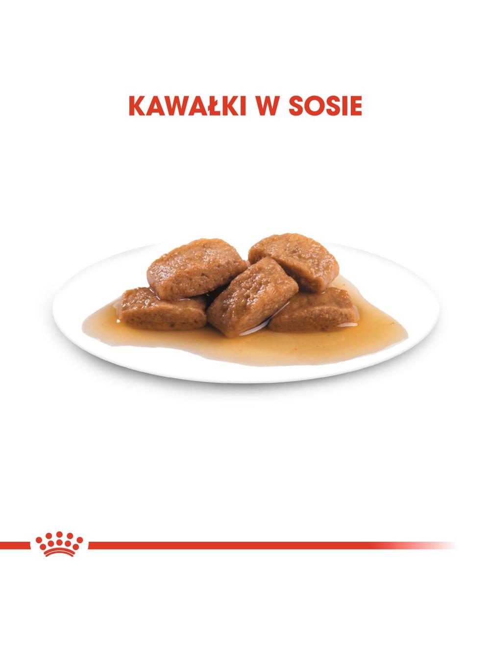ROYAL CANIN Maxi Adult 10x140g karma mokra w sosie dla psów dorosłych ras dużych