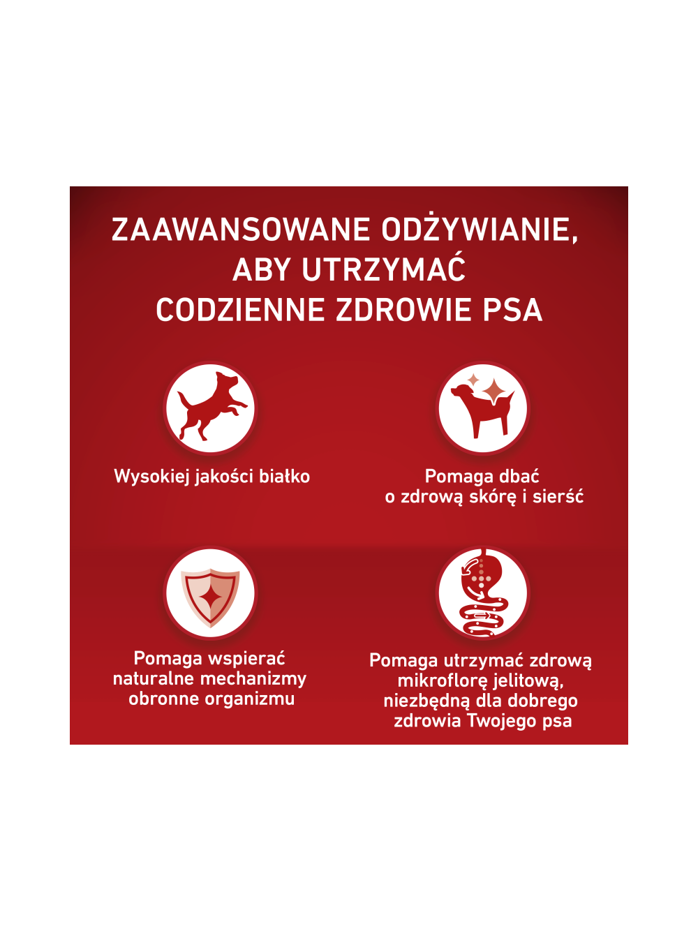 PURINA ONE Adult Medium/Maxi Karma dla dorosłych psów bogata w jagnięcinę z ryżem 2,5 kg