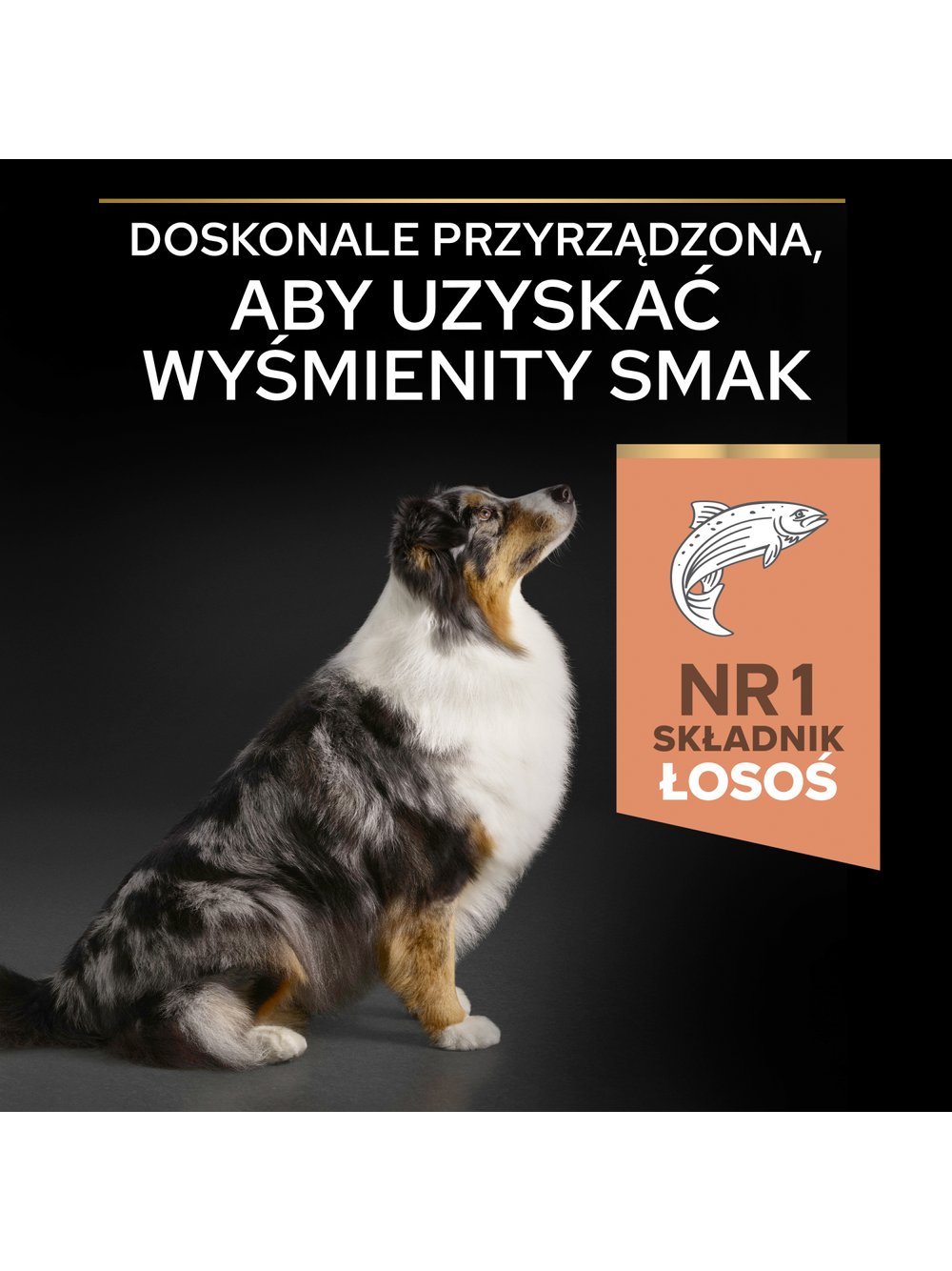 PRO PLAN Sensitive Skin Medium & Large Adult Karma dla psów bogata w łososia 14kg
