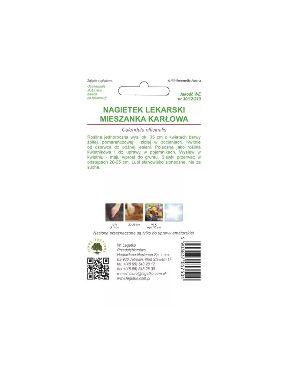 Nagietek lekarski mieszanka karłowa