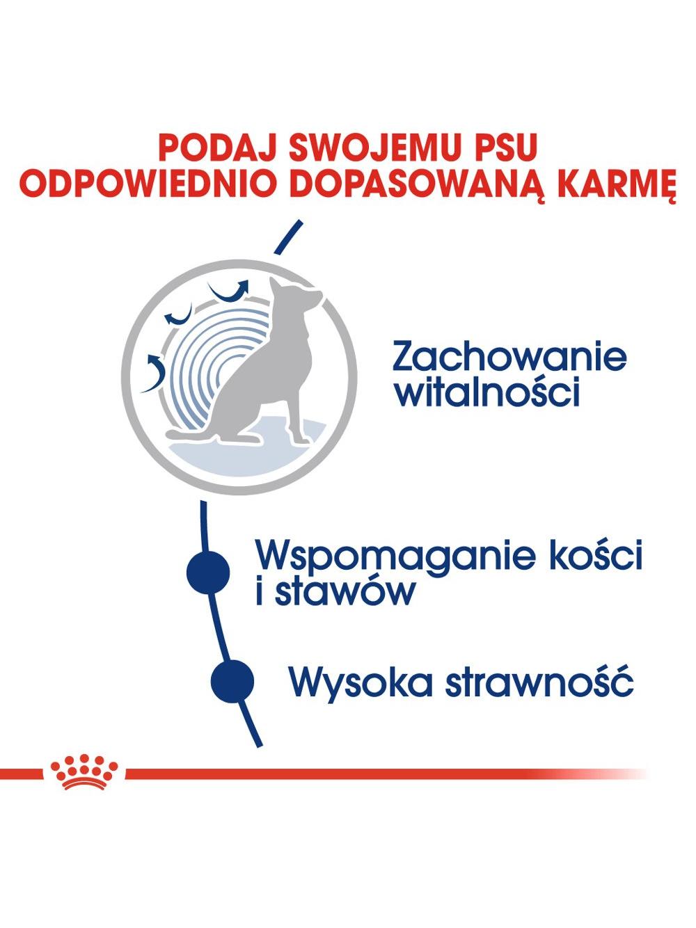 ROYAL CANIN Maxi Ageing 15kg karma sucha dla psów dojrzałych, po 8 roku życia, ras dużych / Opakowanie uszkodzone (5157,5386,6537,8931) !!!