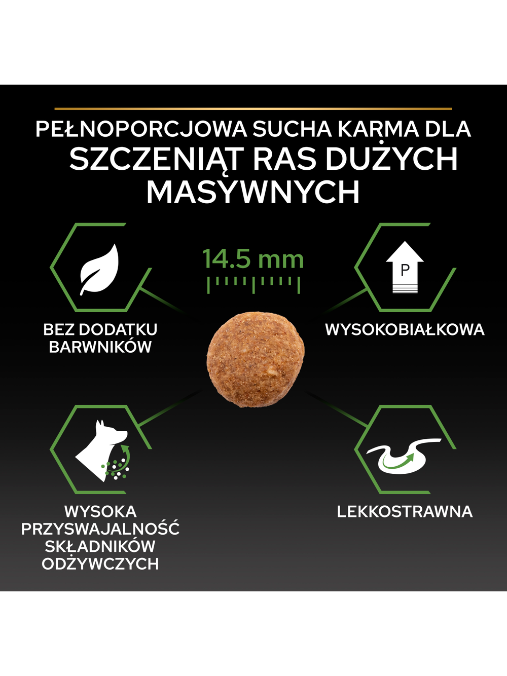 PRO PLAN Healthy Start Large Robust Puppy Karma dla szczeniąt bogata w kurczaka 12kg