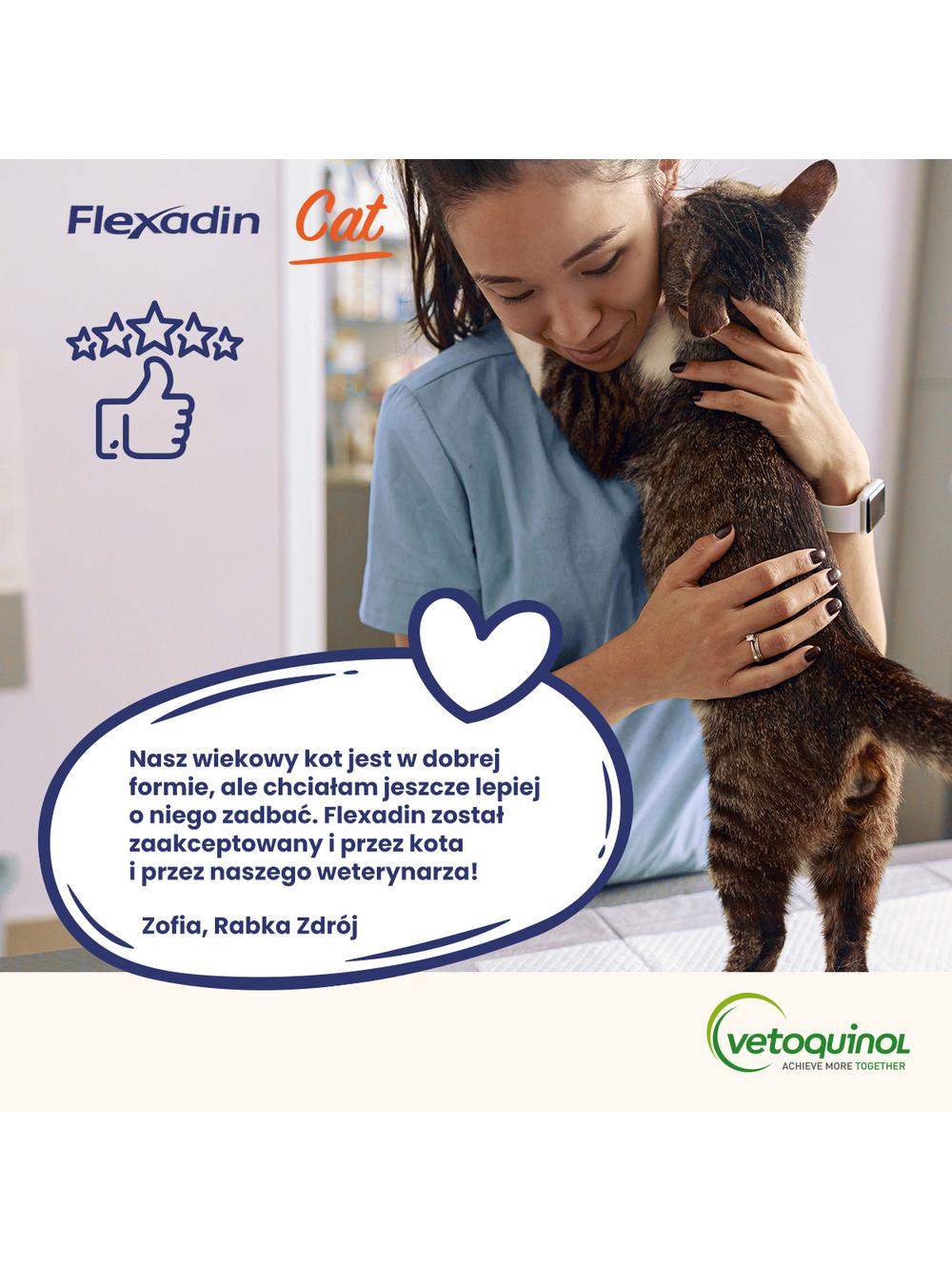 VETOQUINOL Flexadin Cat 60 kąsków