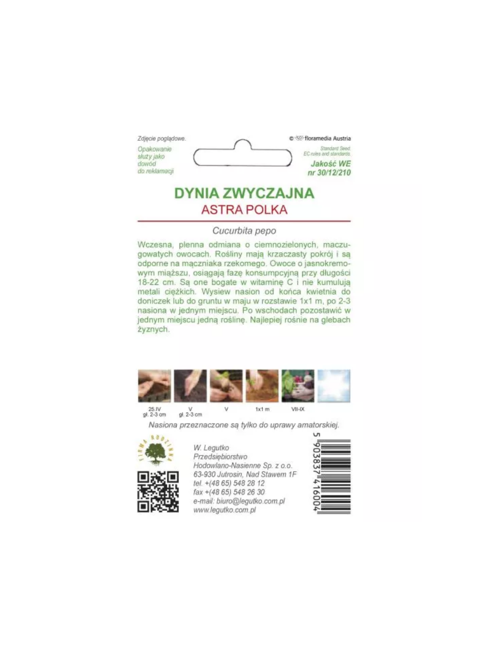 Dynia zwyczajna - cukinia Astra Polka - ciemnozielona, wczesna
