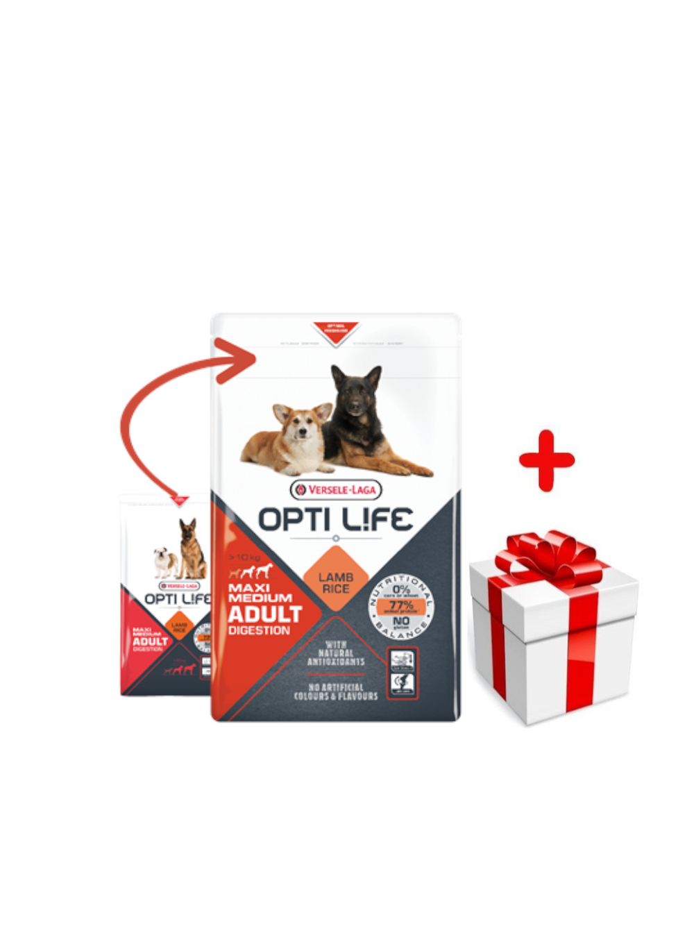 VERSELE-LAGA Opti-Life Adult Digestion Medium & Maxi 1kg + niespodzianka dla psa GRATIS!
