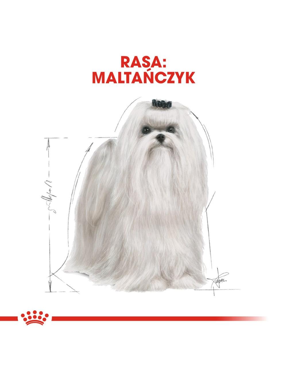 ROYAL CANIN Maltese Adult 500g karma sucha dla psów dorosłych rasy maltańczyk