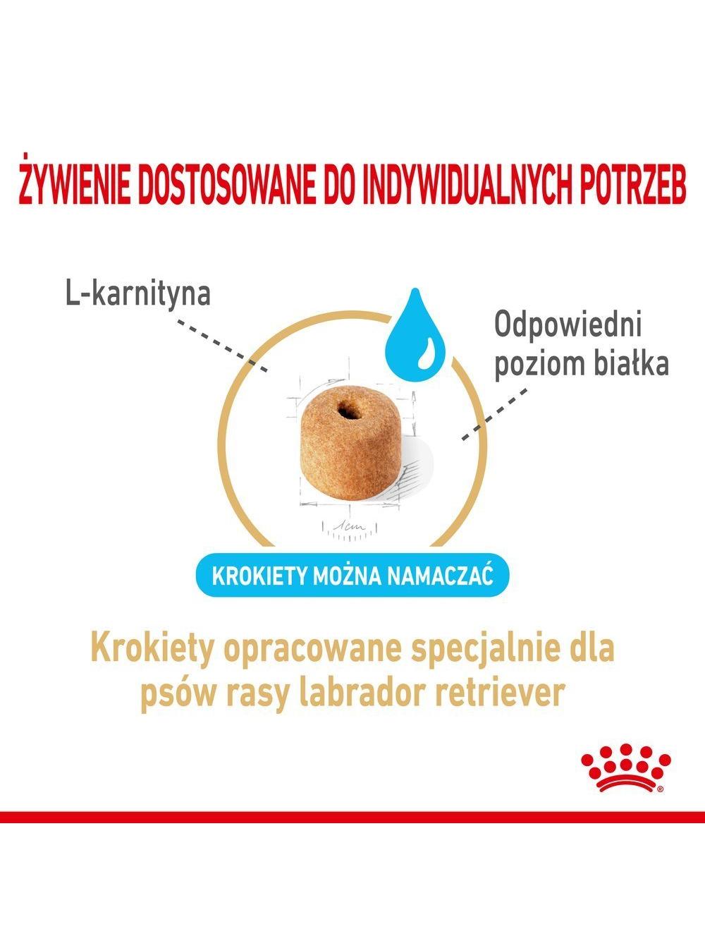 ROYAL CANIN Labrador Retriever Adult 5+ 12kg karma sucha dla psów dorosłych rasy Labrador Retriever, powyżej 5 roku życia