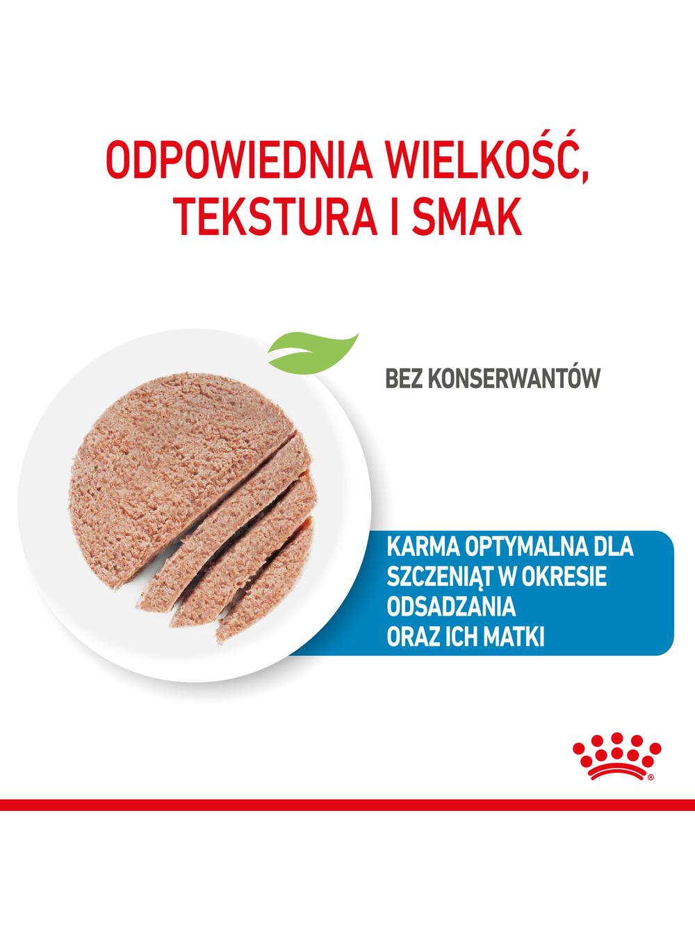 ROYAL CANIN Starter Mousse Mother & Babydog 12x195g karma mokra - mus, dla suk w czasie ciąży, laktacji oraz szczeniąt