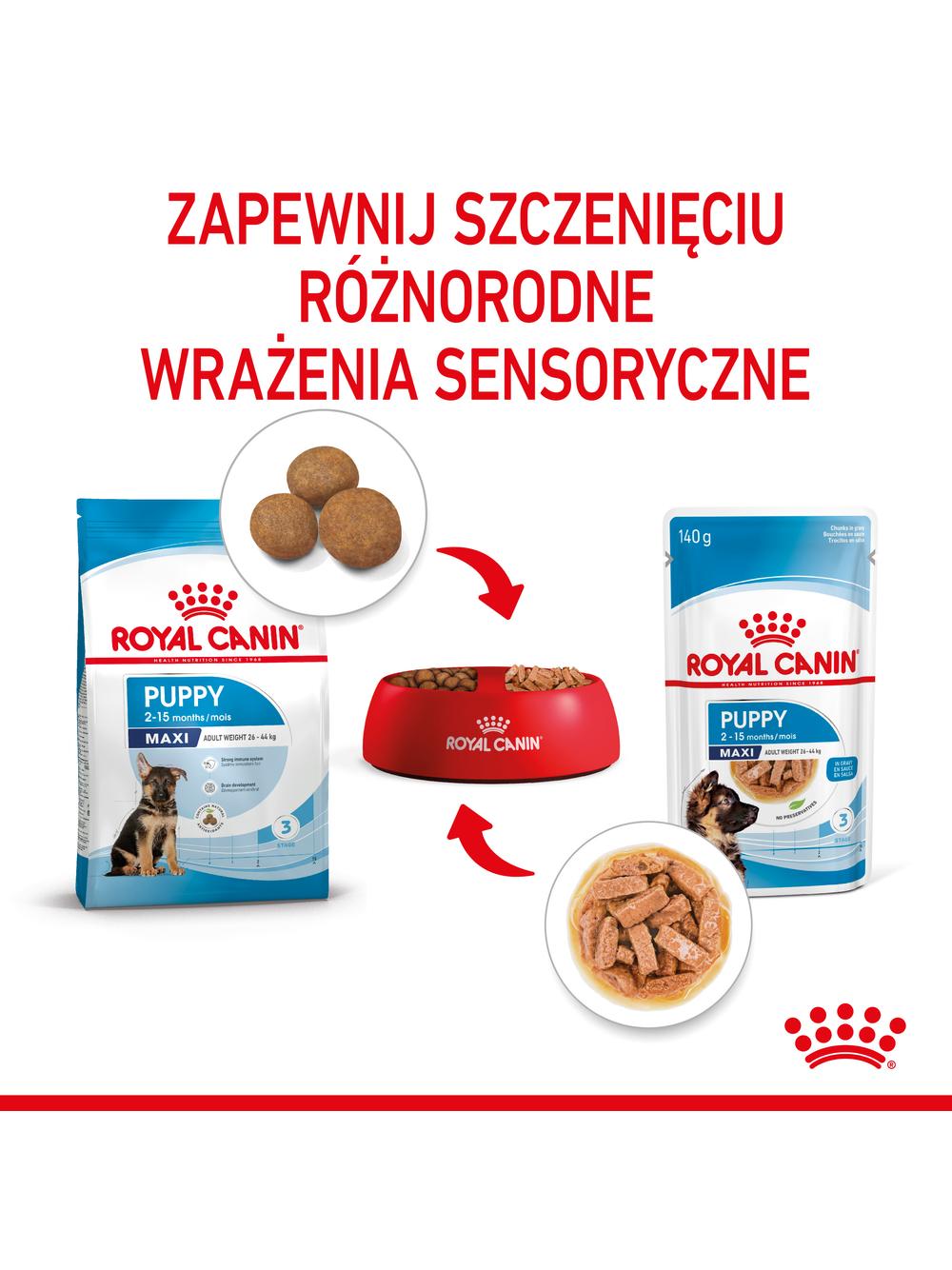 ROYAL CANIN Maxi Puppy 10x140g karma mokra w sosie dla szczeniąt do 15 miesiąca życia,  ras dużych