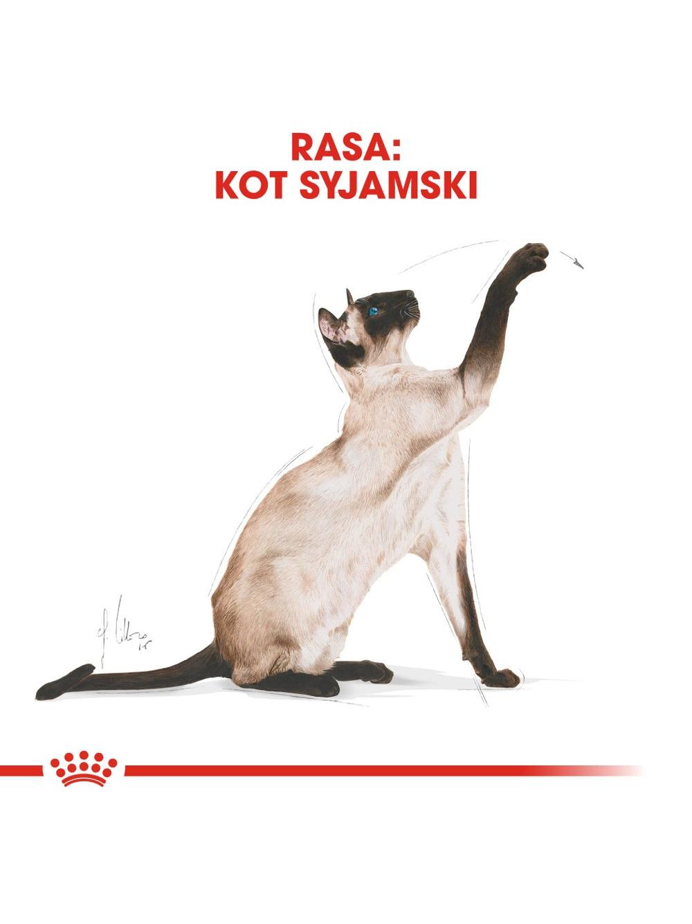 ROYAL CANIN Siamese Adult 2kg karma sucha dla kotów dorosłych rasy syjamskiej