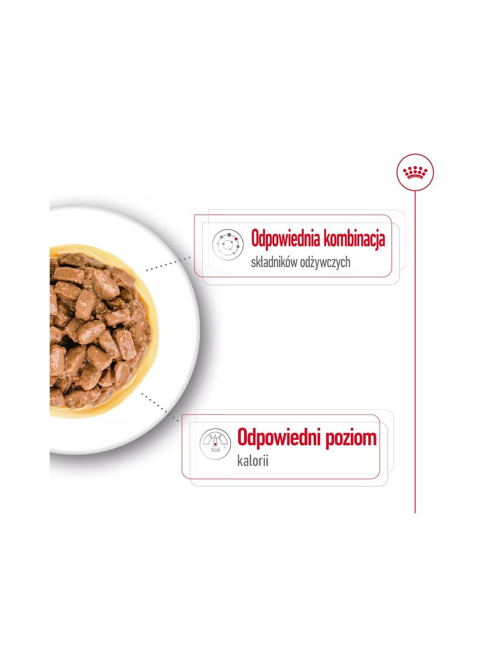 ROYAL CANIN Mini Ageing 12+ 12x85g  karma mokra w sosie dla psów dojrzałych po 12 roku życia, ras małych