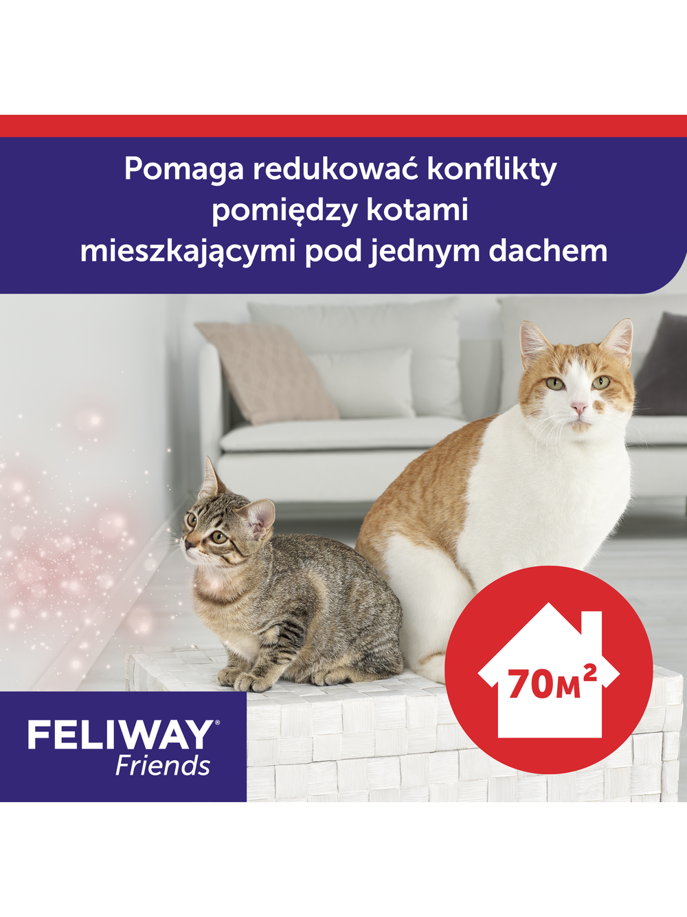CEVA Feliway Friends dyfuzor + flakonik 48 ml z feromonem C.A.P.