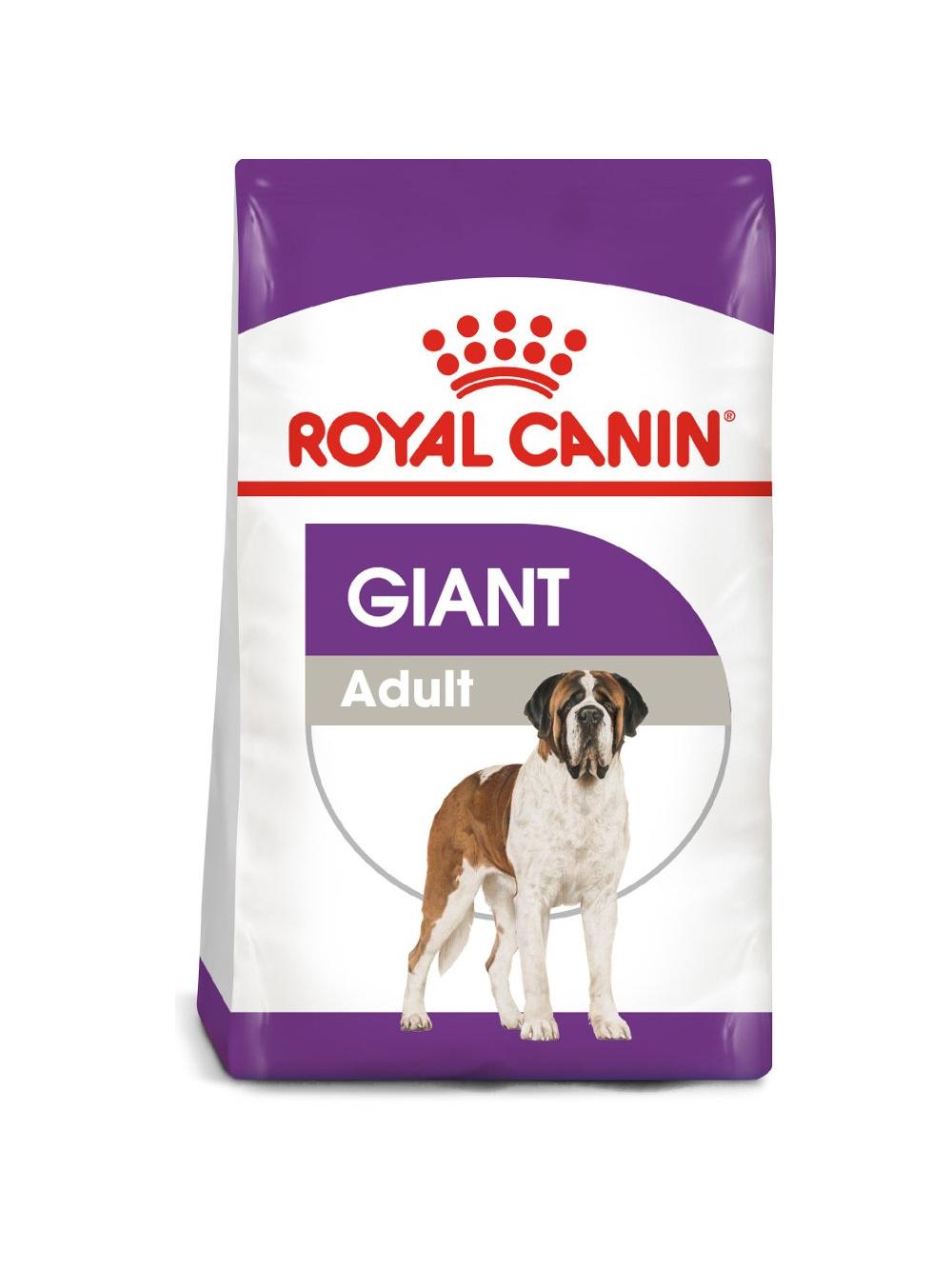 ROYAL CANIN Giant Adult 15kg karma sucha dla psów dorosłych, od 18/24 miesiąca życia, ras olbrzymich +  niespodzianka dla psa GRATIS!