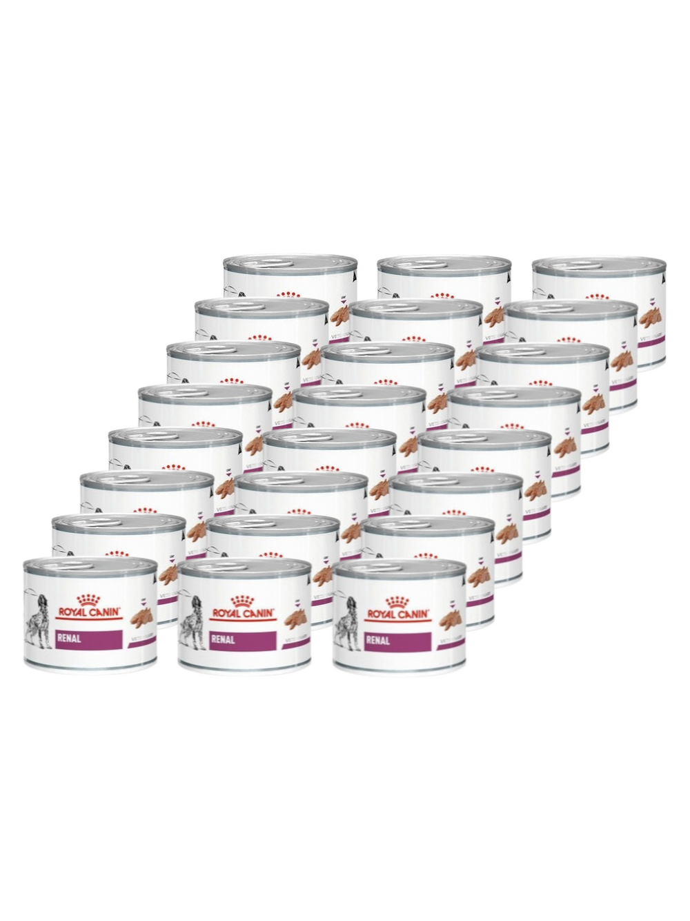 ROYAL CANIN Renal Canine 24x200g puszka
