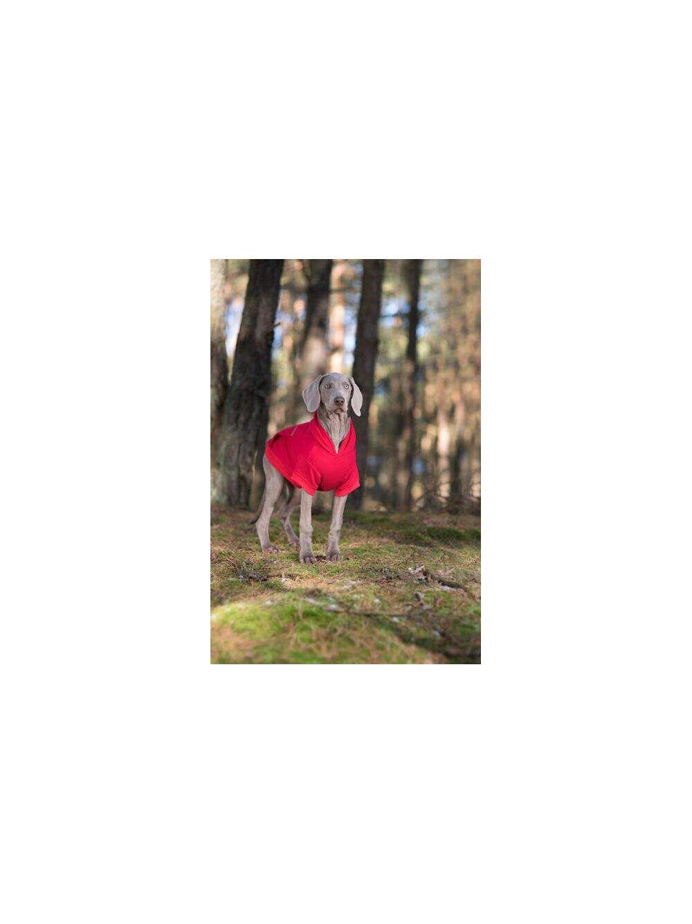 AMIPLAY- Bluza z kapturem Texas 35 cm Maltese-czerwona