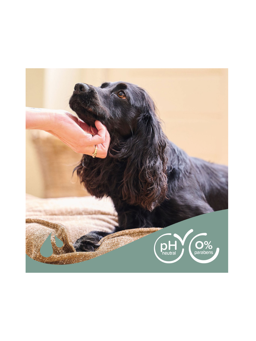 Beaphar SHAMPOO BLACK DOG  250ML - do czarnej sierści dla psów
