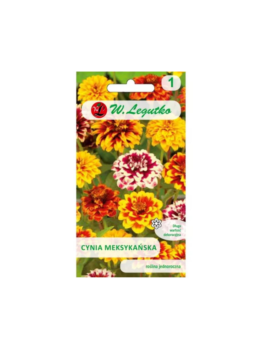 Cynia meksykańska mieszanka