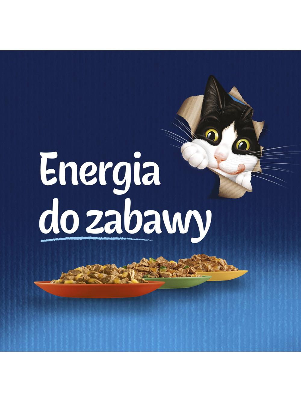 Felix MIX smaków 88x85g