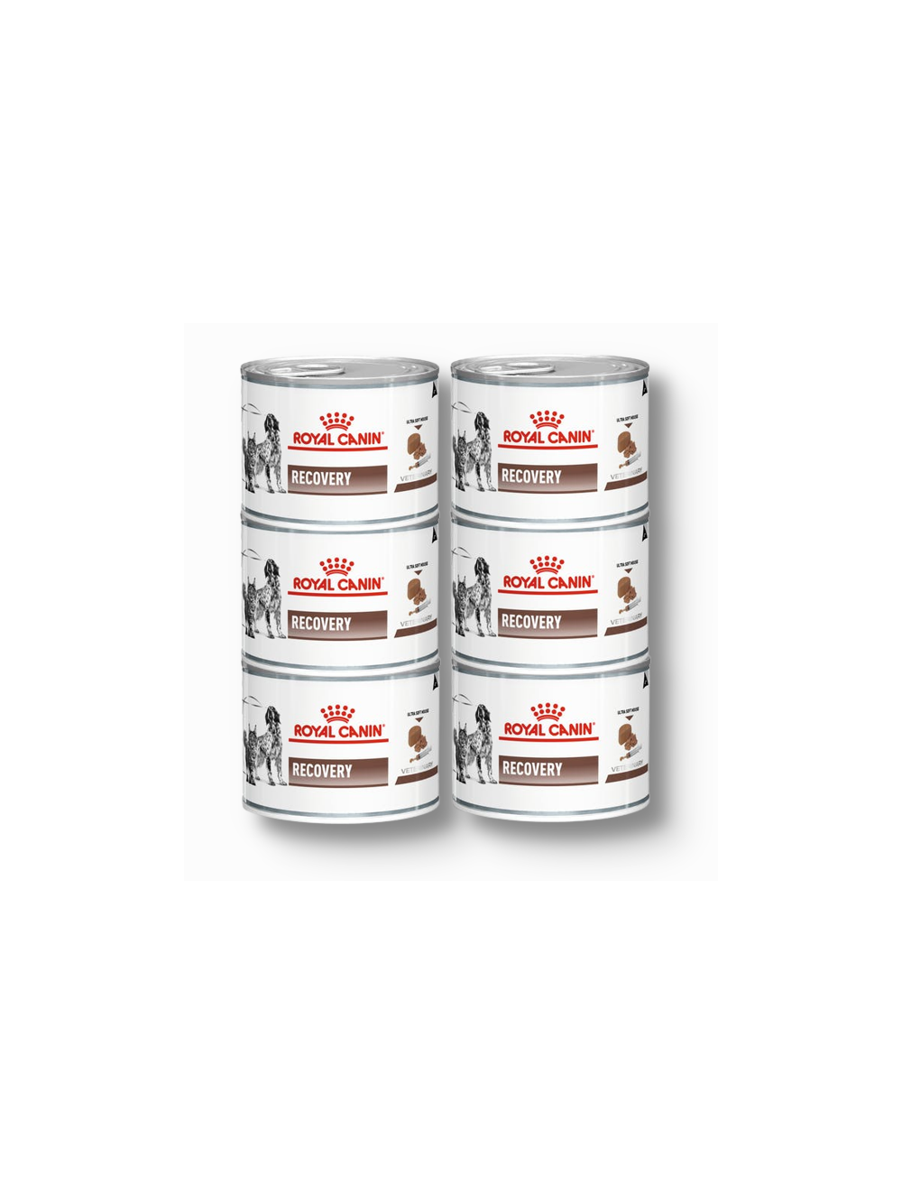 ROYAL CANIN Recovery 6x195g puszka