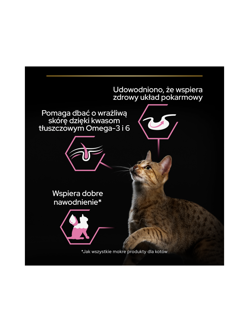 PRO PLAN Delicate Digestion Mokra karma dla kotów z indykiem w sosie 10x85g